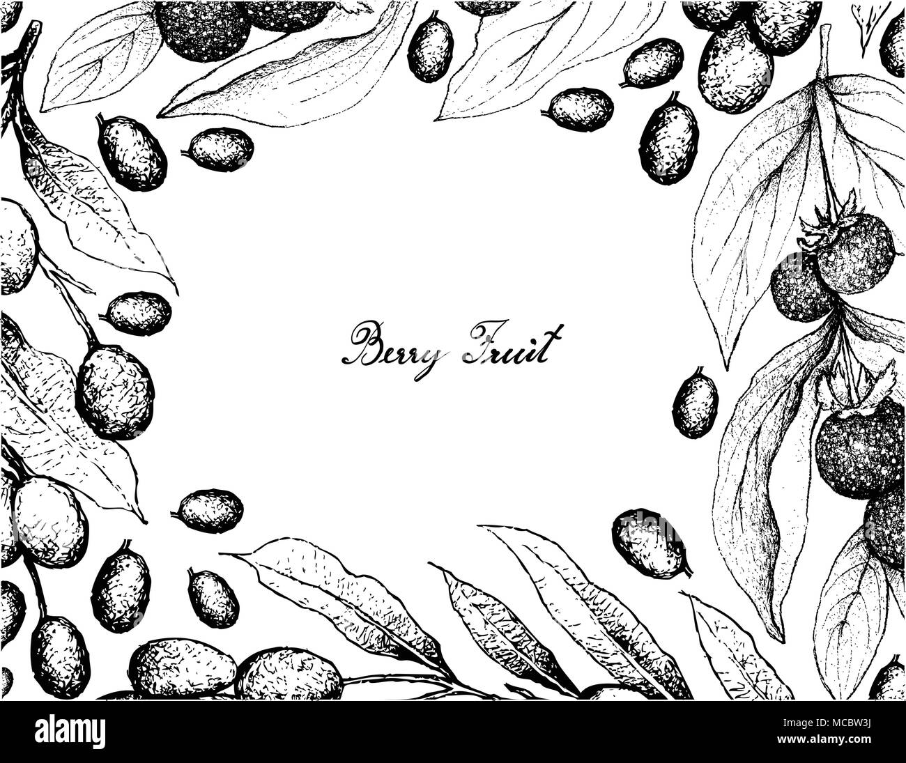 Berry Fruits, Illustration Frame of Hand Drawn Sketch Fresh Ceylon Gooseberries and Brazil Plum, Imbu, Umbu and Spondias Tuberosa Fruits Isolated on W Stock Vector