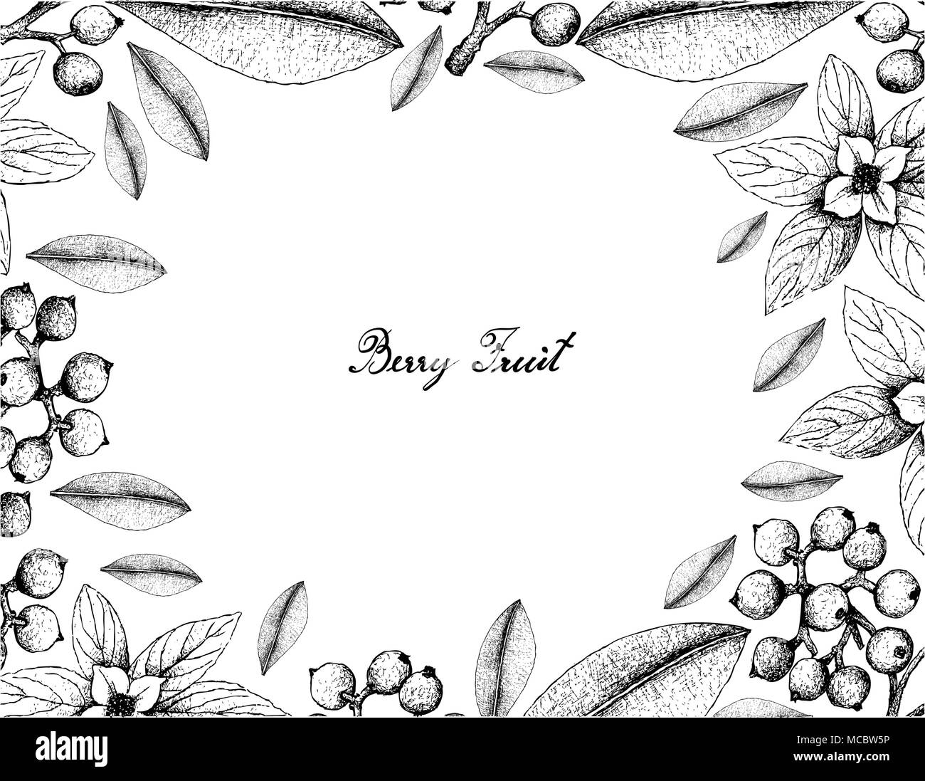 Berry Fruit, Illustration Frame of Hand Drawn Sketch of Carallia Brachiata and Bunchberry, Dwarf Cornel or Cornus Suecica Fruits Isolated on White Bac Stock Vector