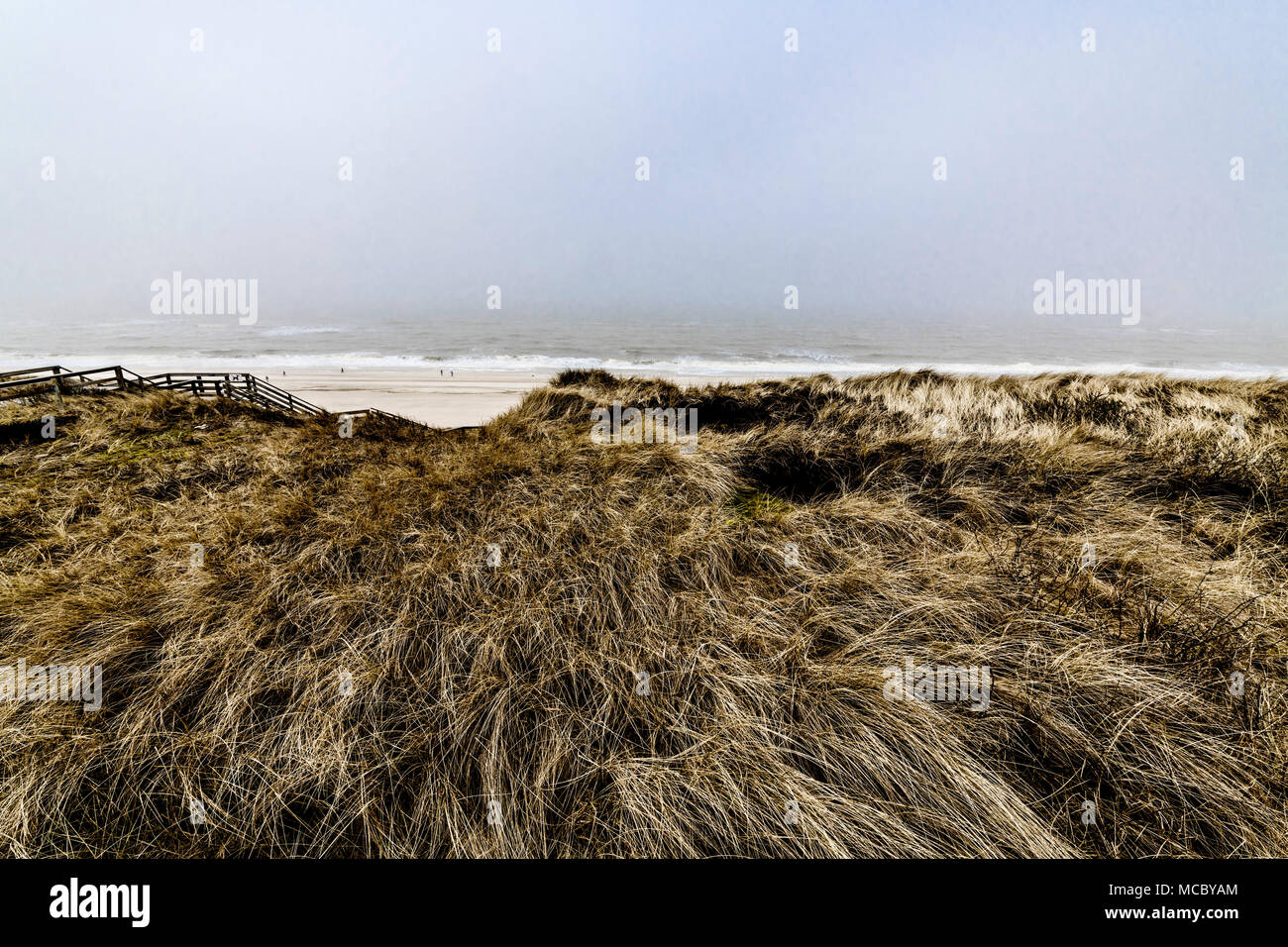 Sylt (Germany): Sea, surf and dunes; Dünen und Strand auf Sylt Stock Photo