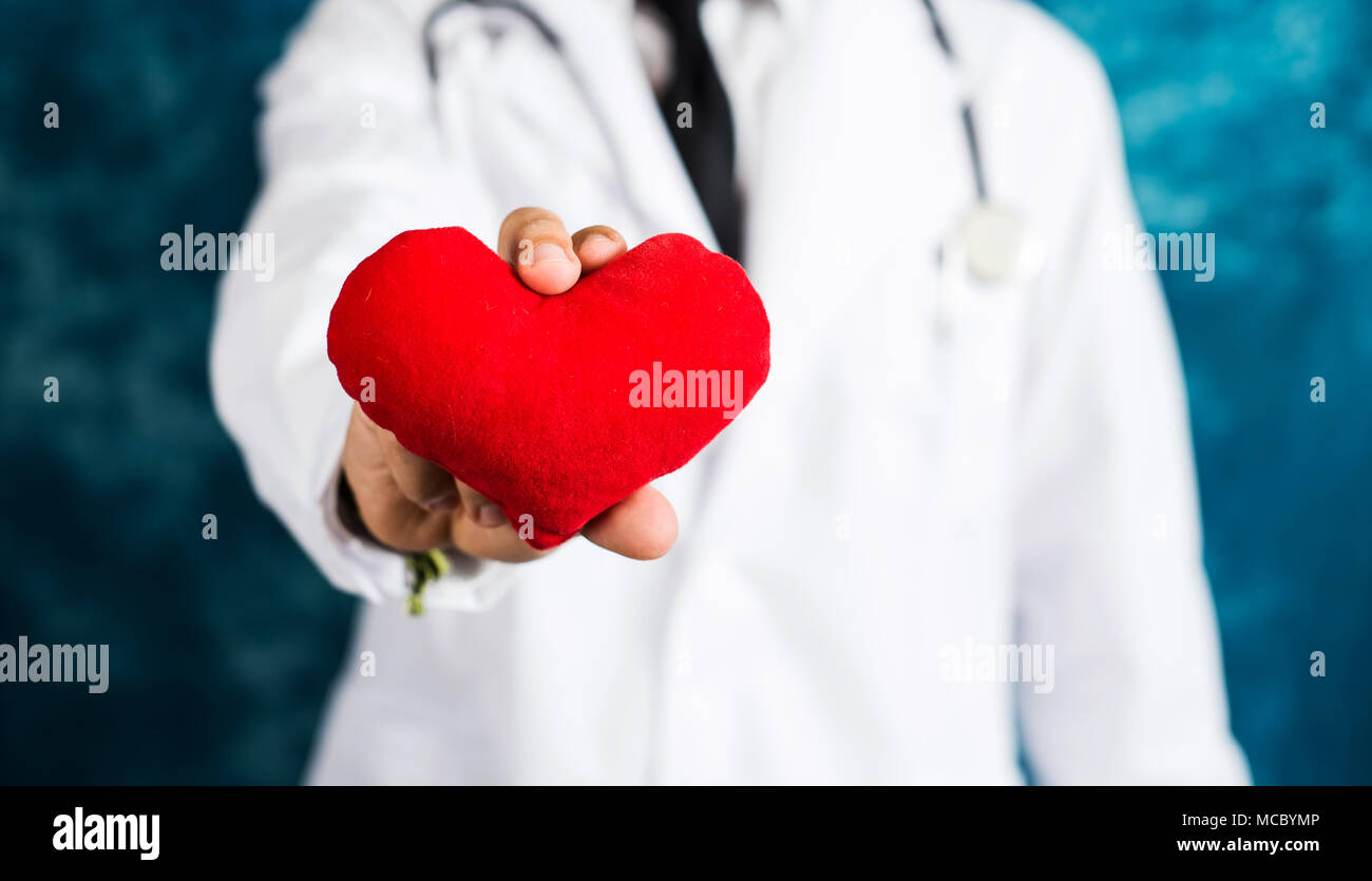 Doctor holding a red heart toy close up Stock Photo