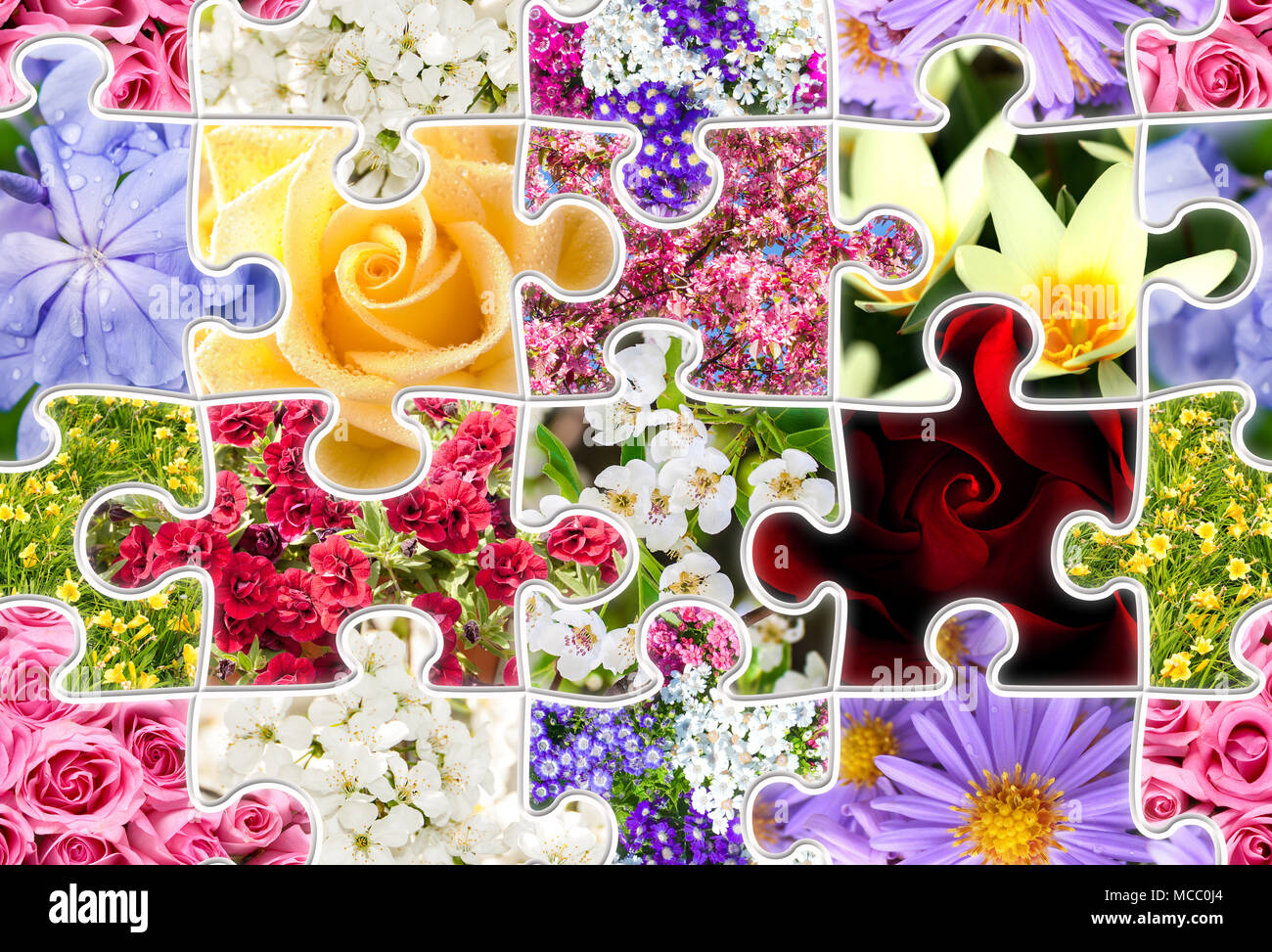 Flowers spring collage set collection in shape of puzzle. SEAMLESS spring background pattern. Stock Photo