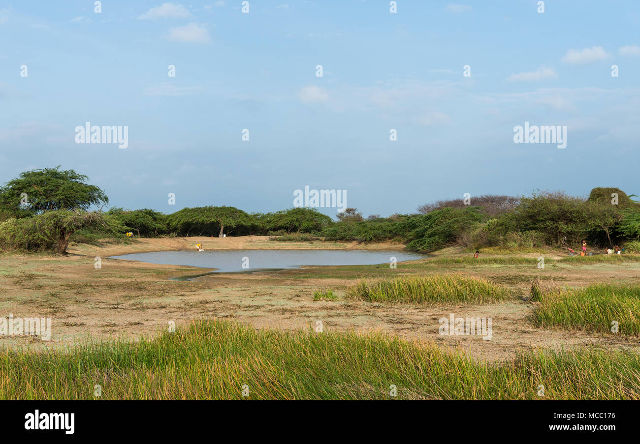 A small pond is the source of water for people in arid north of Colombia, South America. Stock Photo