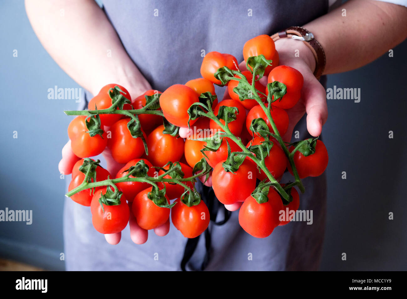 a close up Chefs hands holding a bunch of red plum tomatoes on green ...