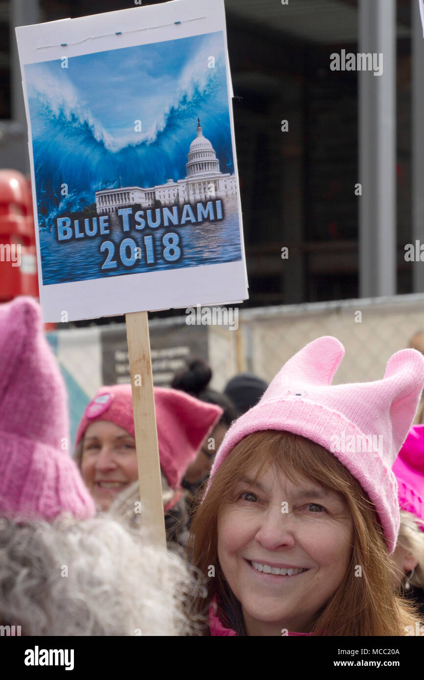 ASHEVILLE, NORTH CAROLINA - JANUARY 20, 2018: Woman wearing a Pussyhat in the 2018 Women's March holds a sign saying 'Blue Tsunami 2018' alluding to a Stock Photo