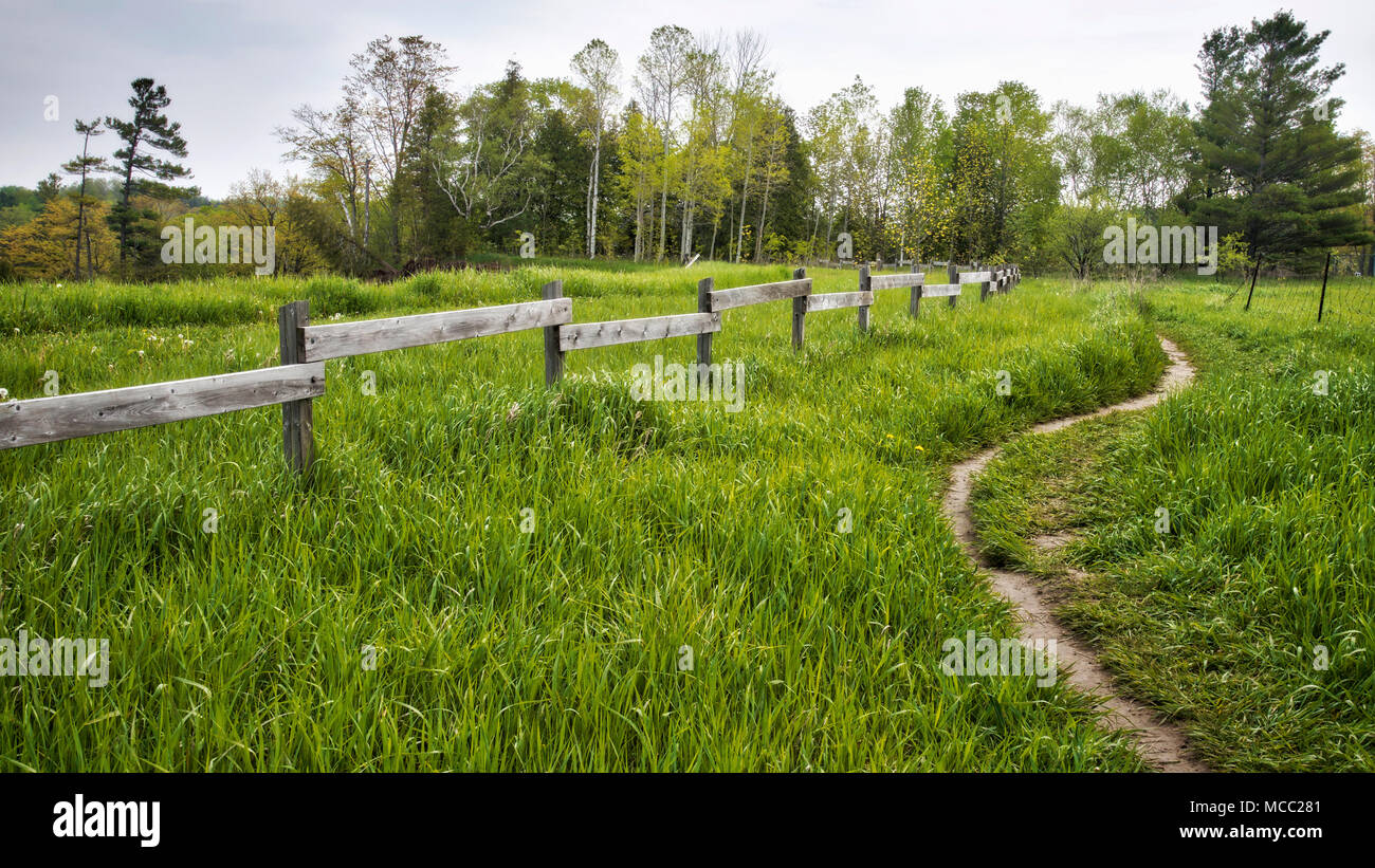 The winding trail in the park with fence, Markham, Ontario, Canada Stock Photo