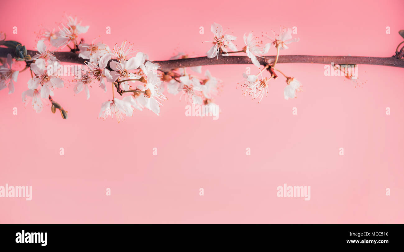 Backgrounds