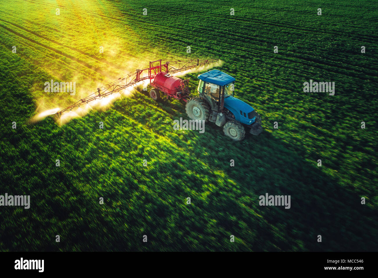 Aerial view of farming tractor plowing and spraying on field with ...