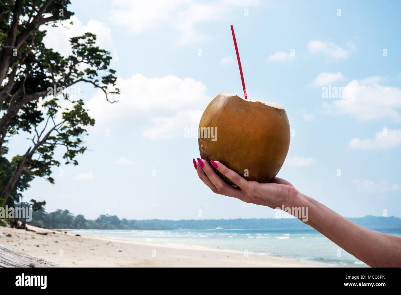 Coconut drink in hand. Hand of black woman holding coconut with