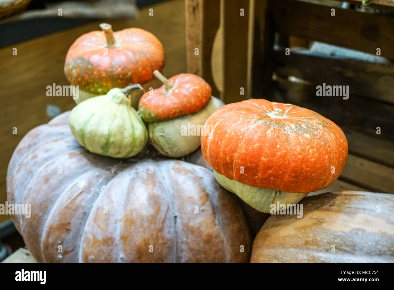 Colorful pumpkins collection on the autumn market Stock Photo - Alamy