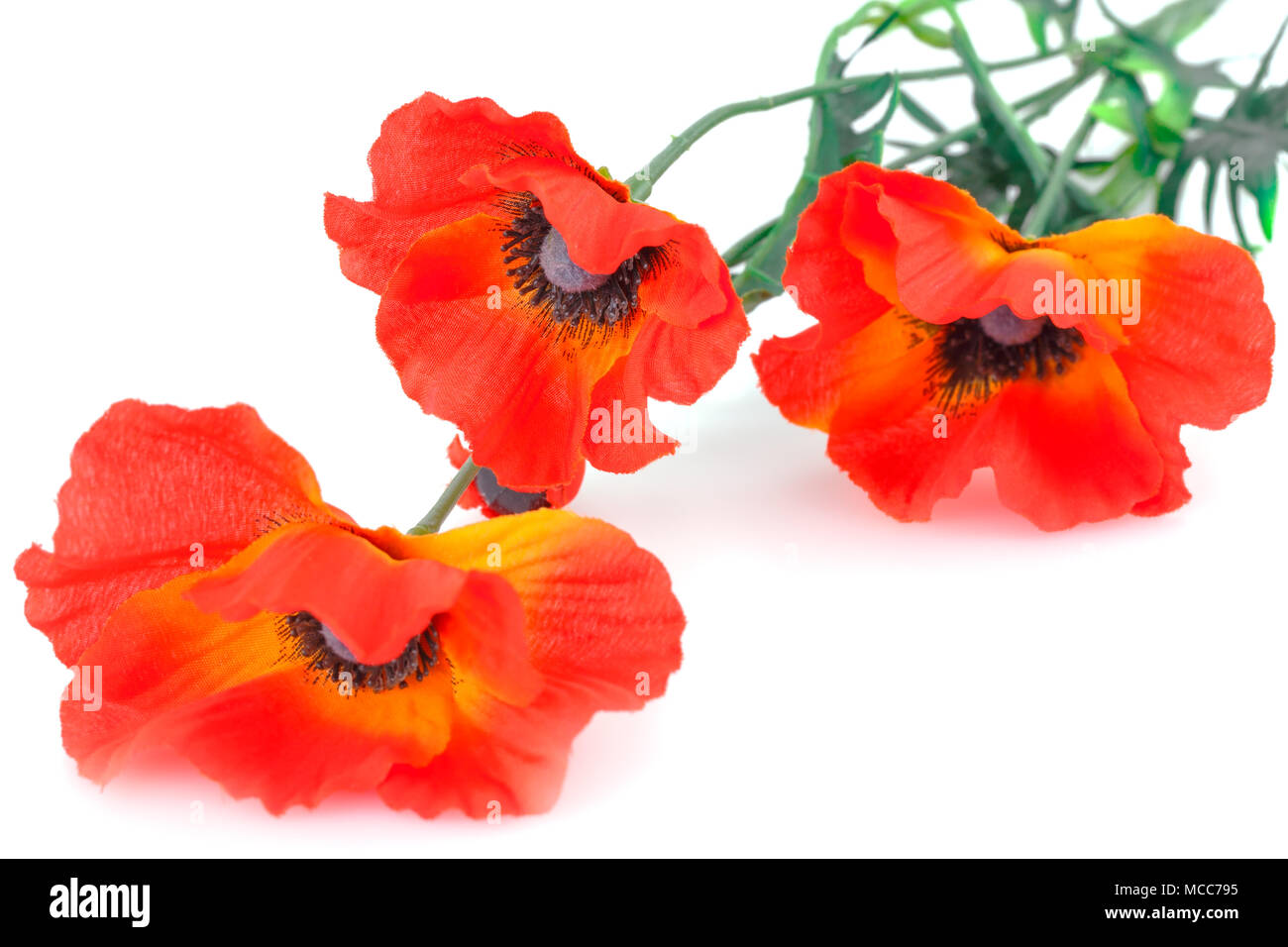 Red fabric poppies isolated on white background Stock Photo - Alamy