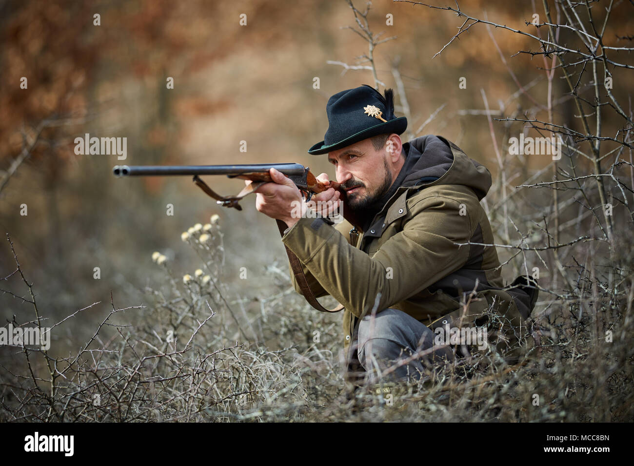 Hunter Dig Two Rifles Hunter with double barrel gun in the forest looking for game Stock ...