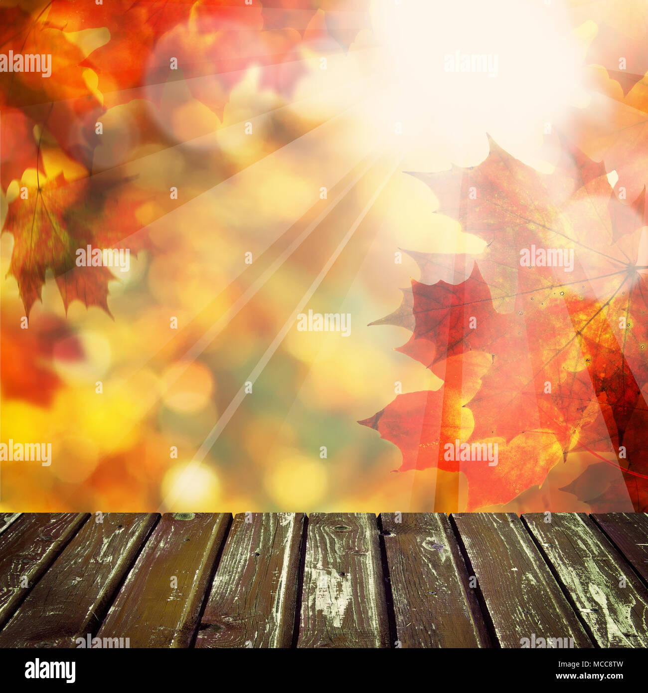 Autumn Background with Empty Wooden Table, Golden Bokeh and Fall Maple ...