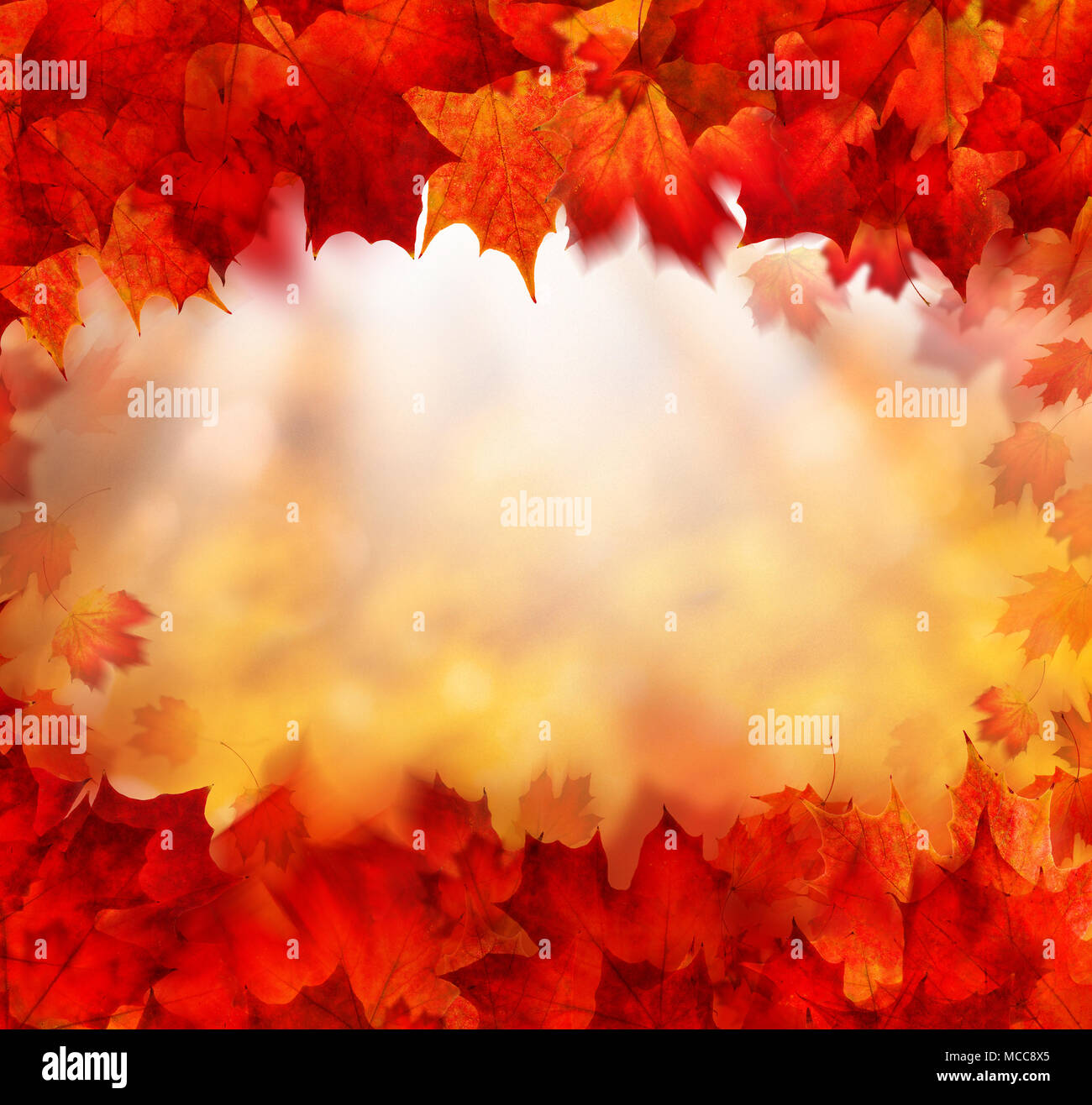Fall Background Border with Golden Bokeh and Red Autumn Leaves Stock Photo