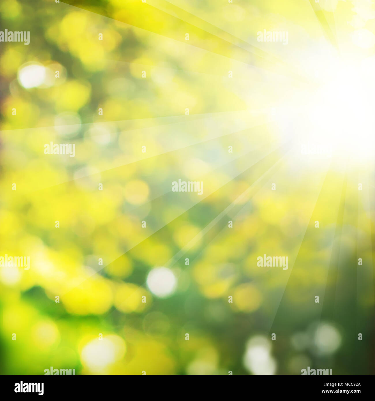 Green glitter background hi-res stock photography and images - Alamy