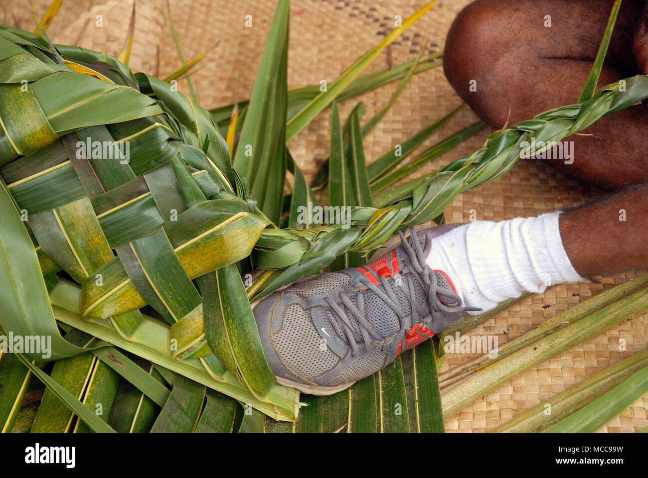 Fijian man creates a basket from weaving a Coconut Palm leaves, Pacific Harbour, Fiji. Stock Photo