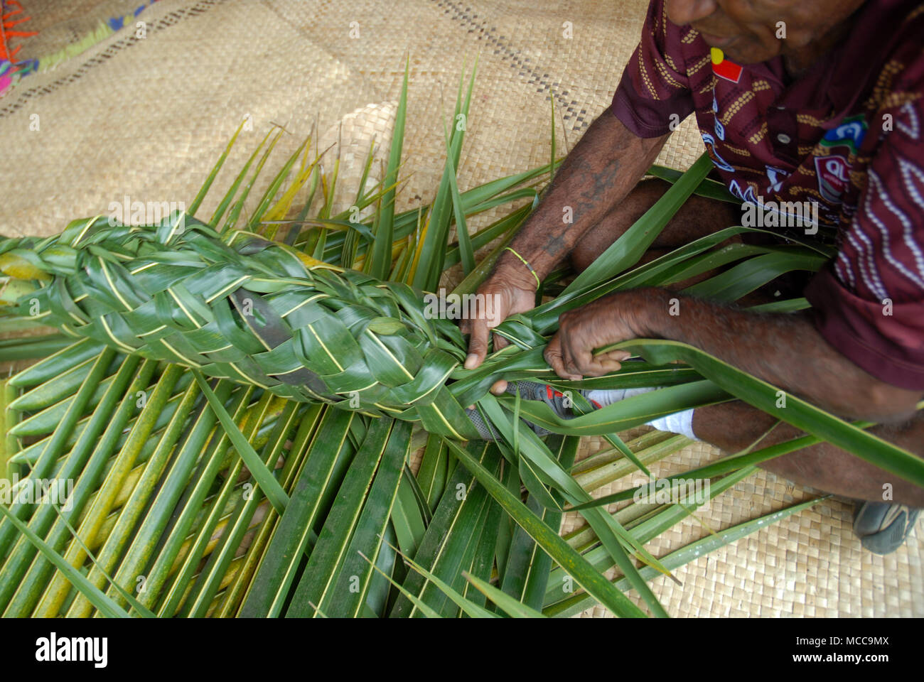 Fijian man creates a basket from weaving a Coconut Palm leaves, Pacific