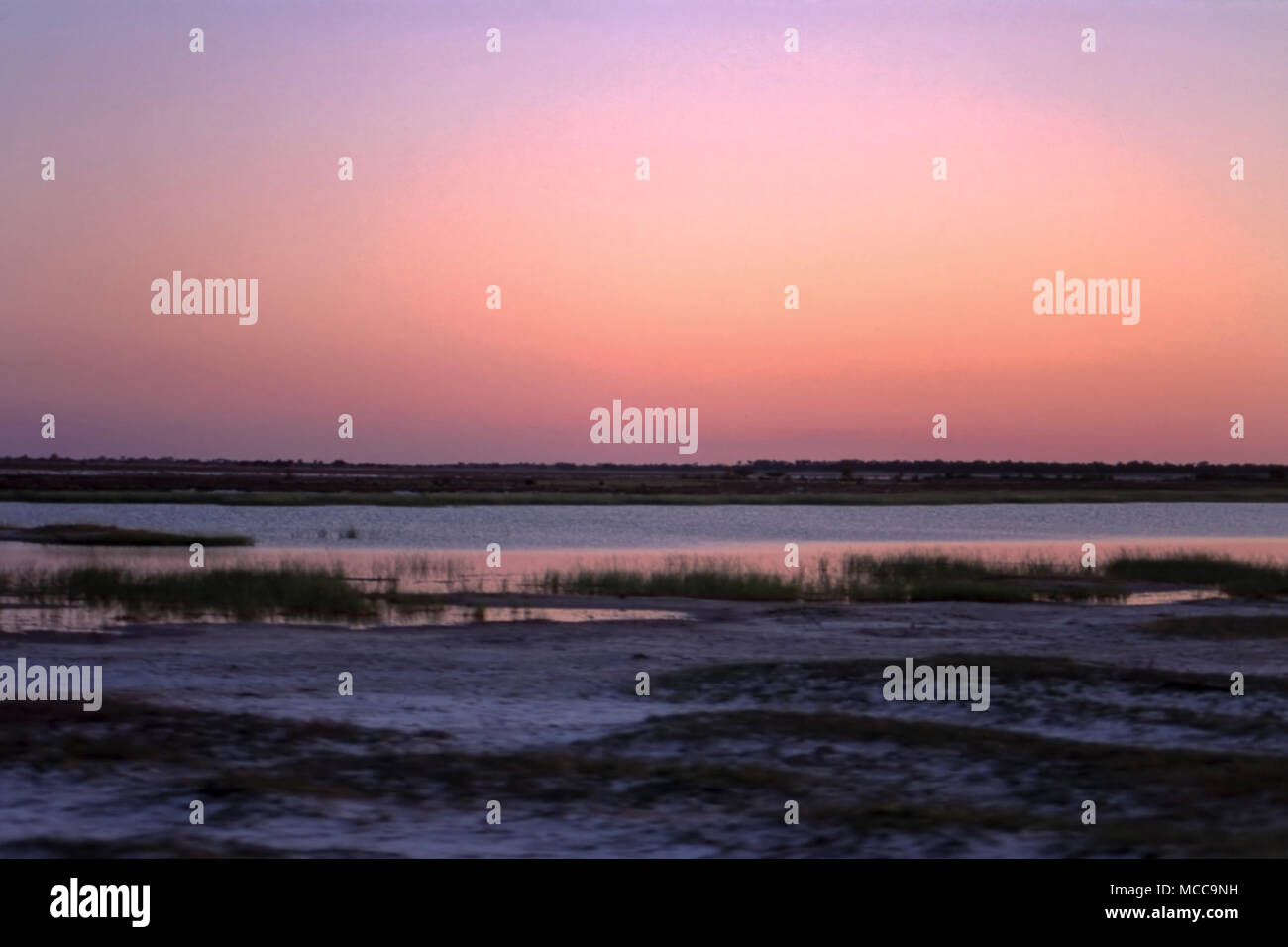 Sunset africa namibia waterhole hi-res stock photography and images - Alamy