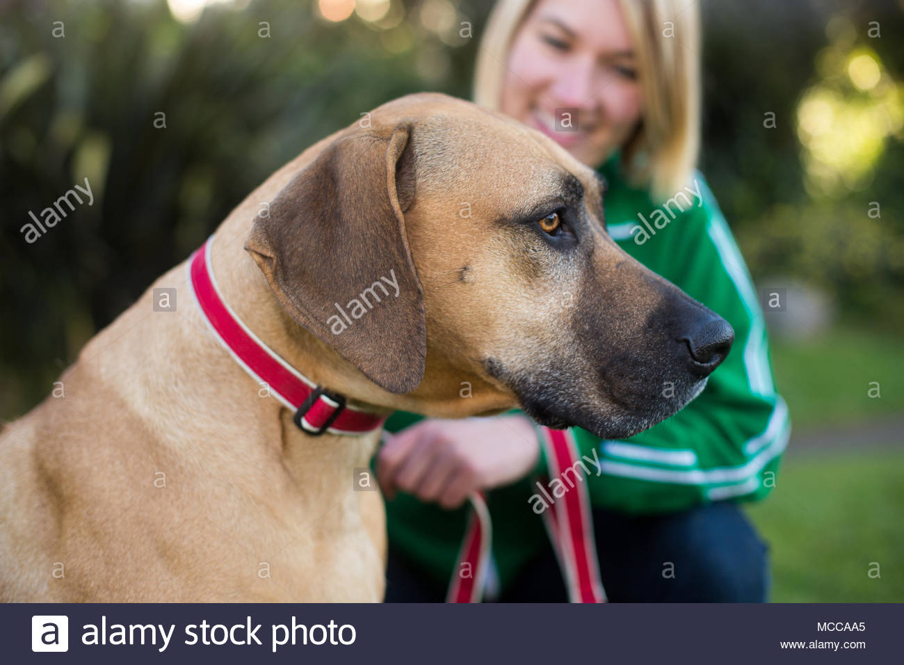 Phrase... women wearing dog collar and leash Women wearing dog collar and leash