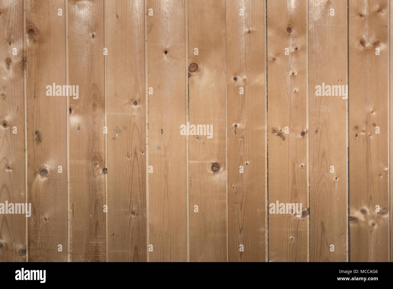 Wood template, texture, natural background. empty template wall texture Stock Photo