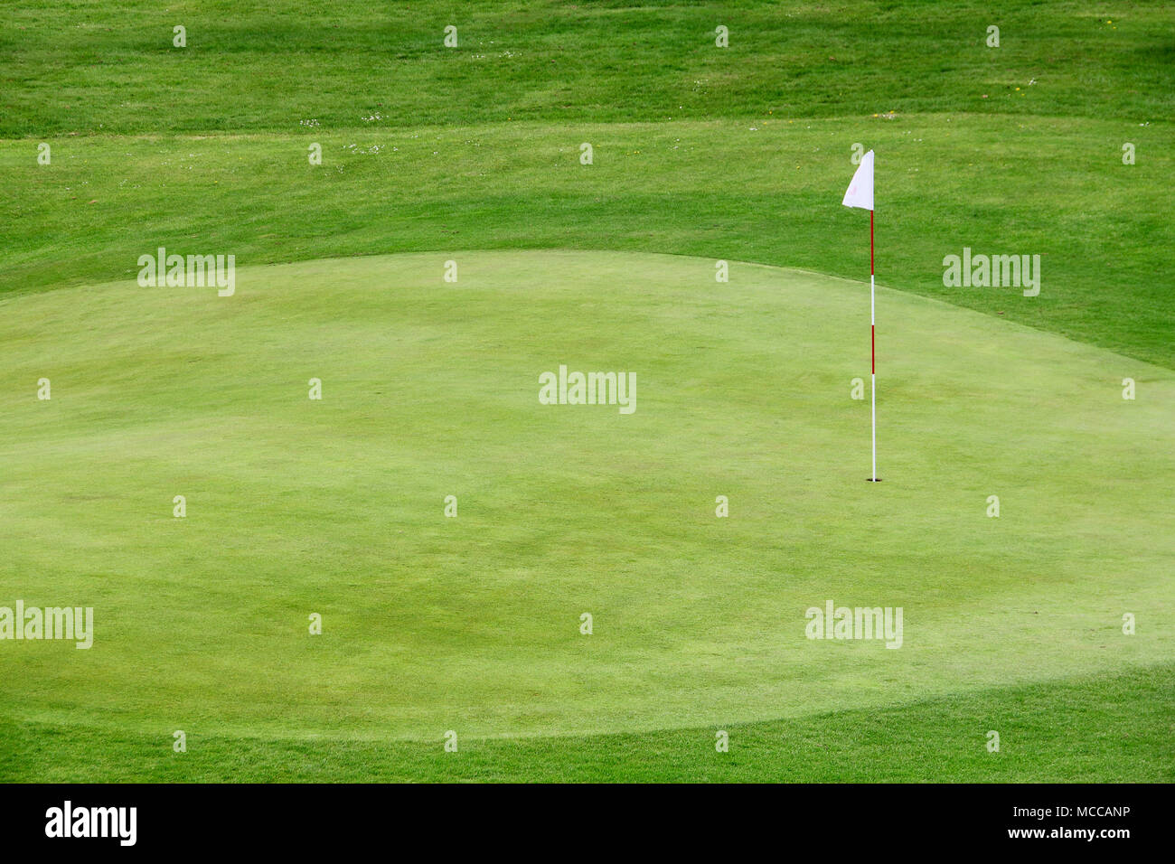 Golf flag on the green grass field close up Stock Photo - Alamy