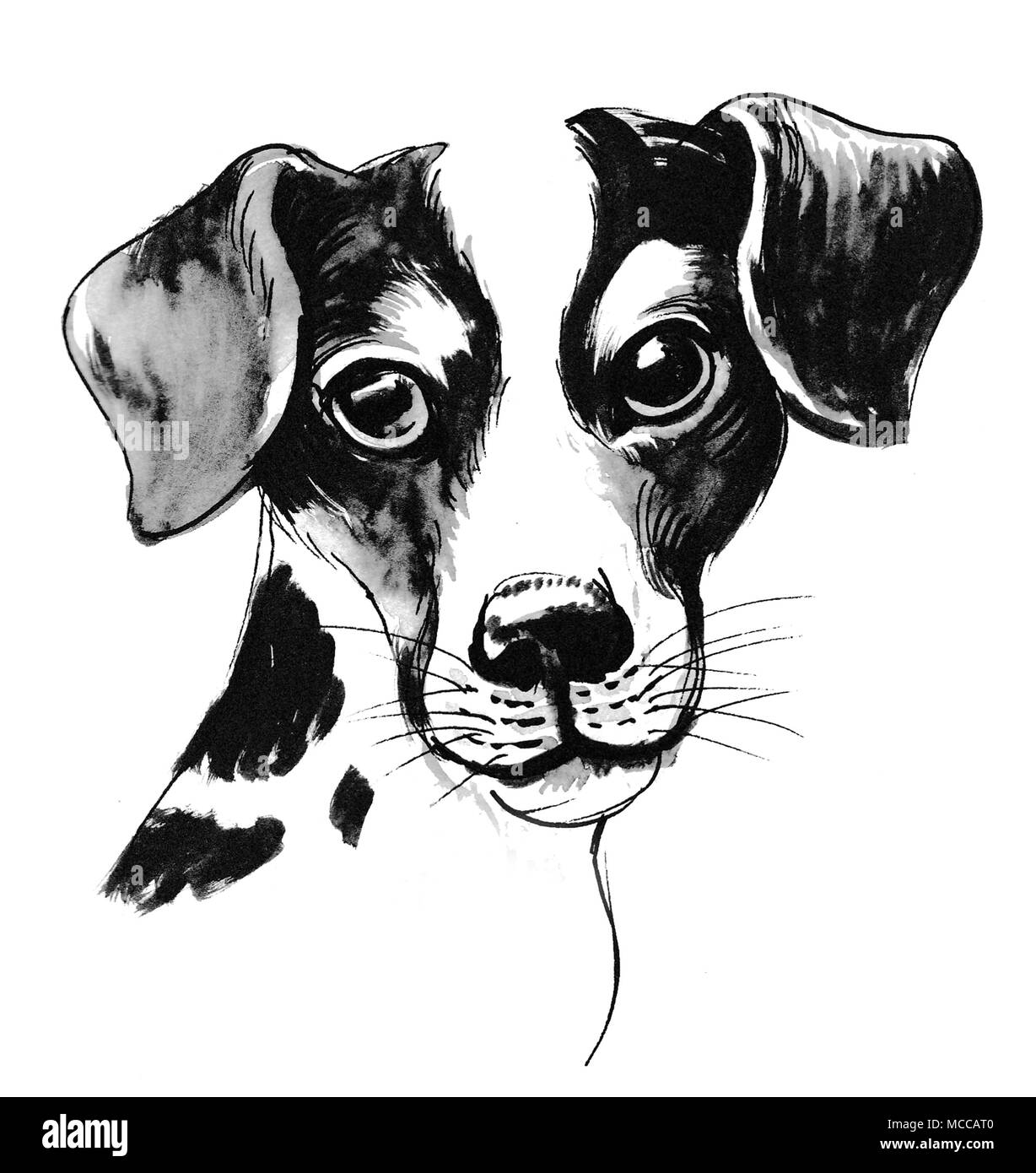 Cute puppy dog. Ink black and white illustration Stock Photo - Alamy
