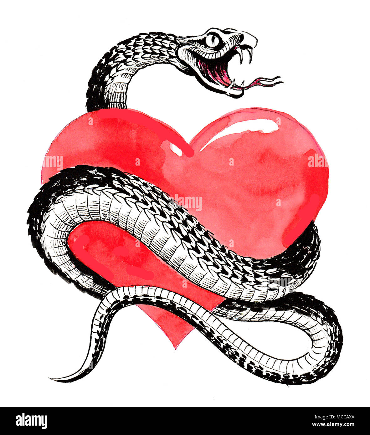 Heart and snake ink and watercolor illustration Stock Photo Alamy