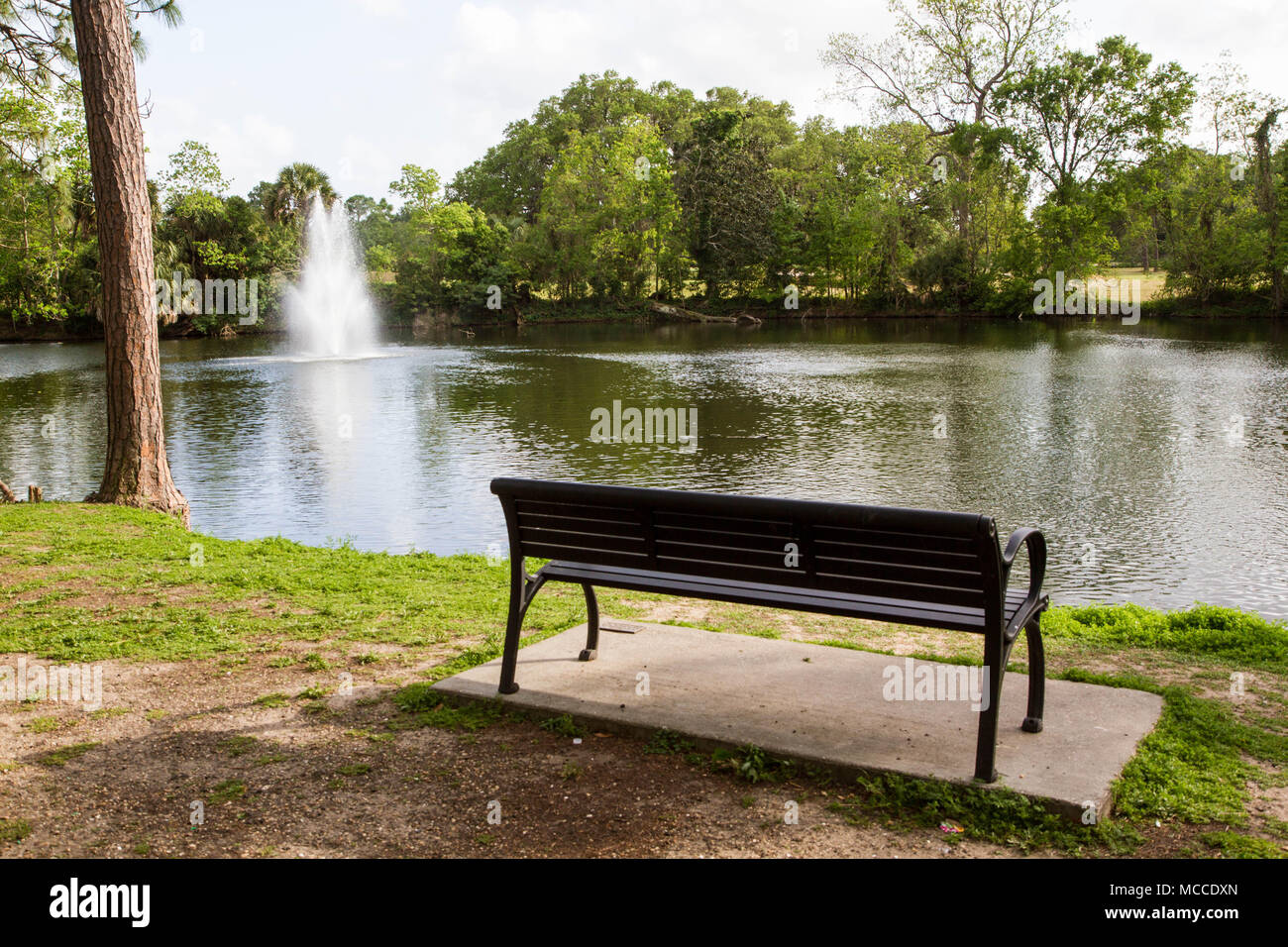 Empty bench next to a lake with a fountain in Audubon Park, New Orleans