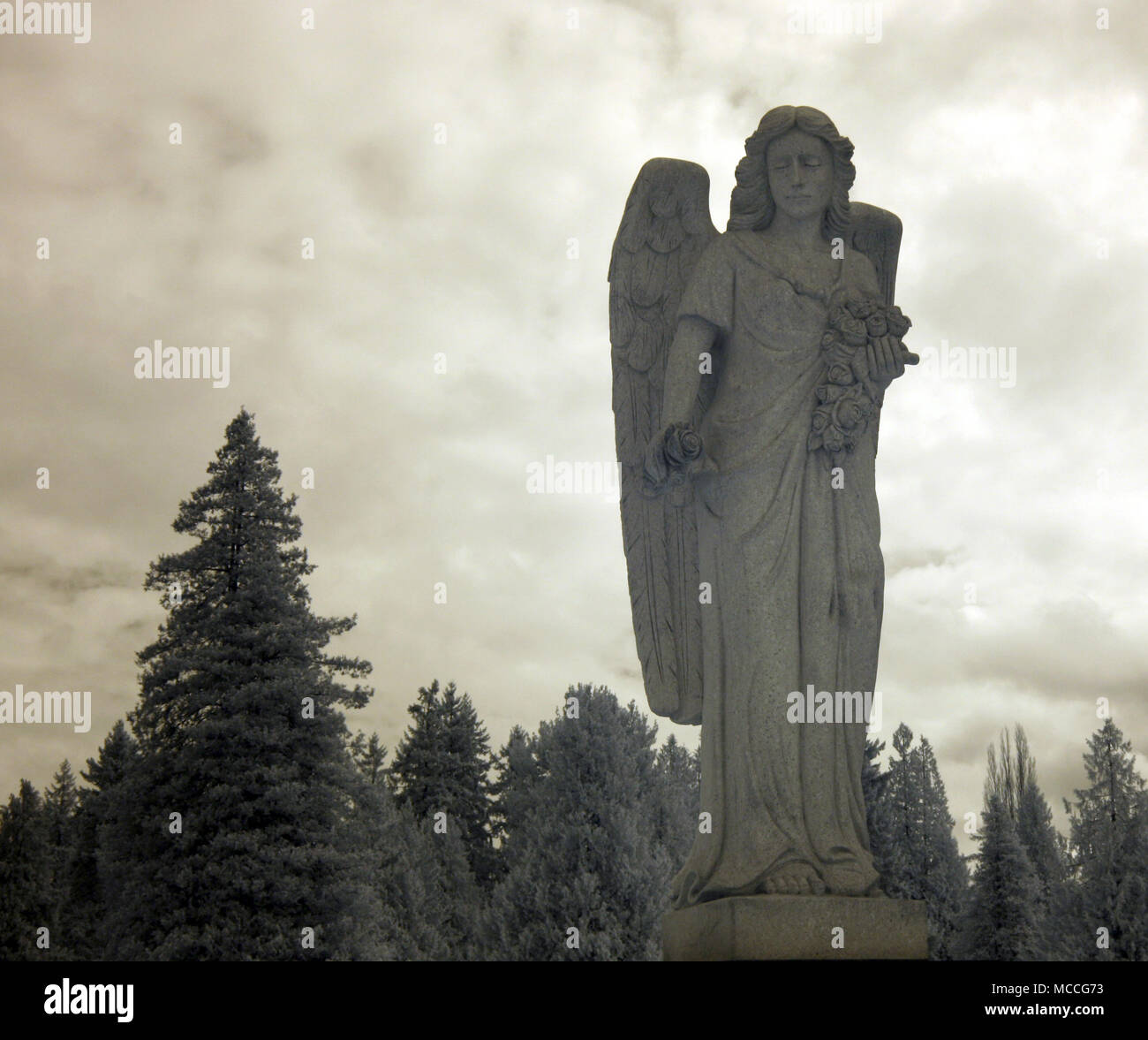 Infrared. Statue of an angel at a cemetery in Seattle, Washington Stock