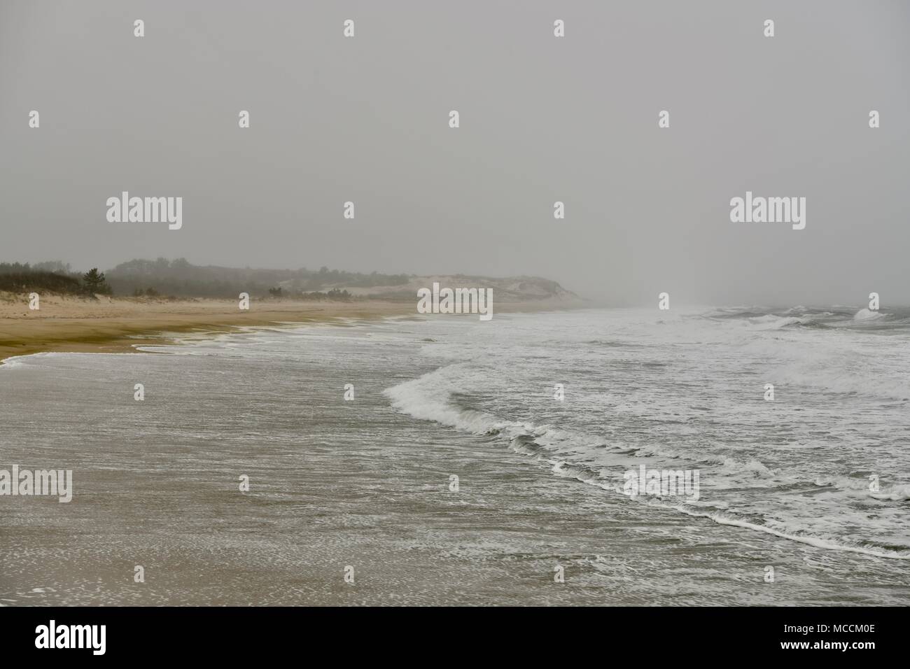 Cape Henlopen Tide Chart