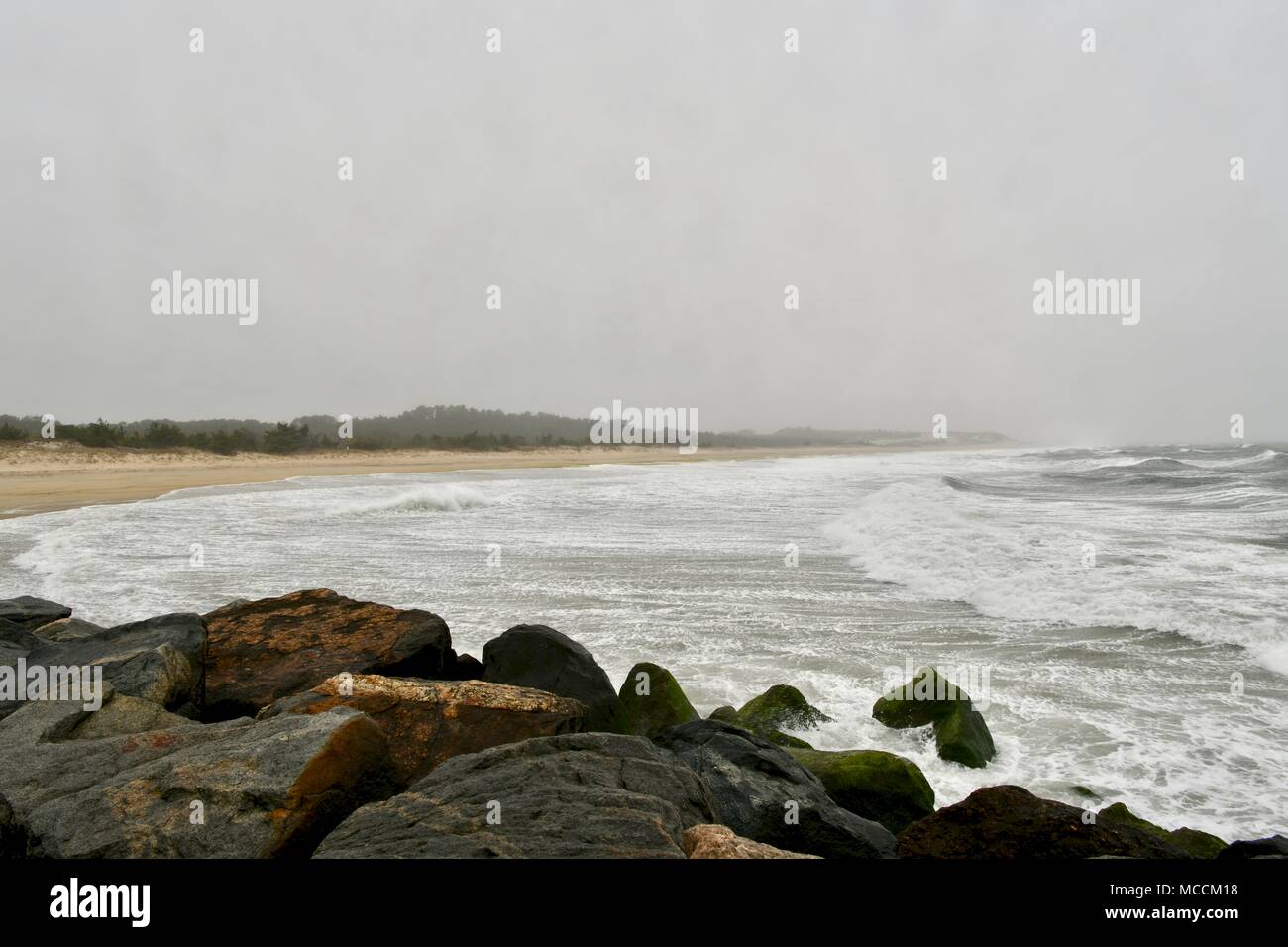 Cold foggy ocean landscape at Cape Henlopen State Park in Delaware, USA Stock Photo