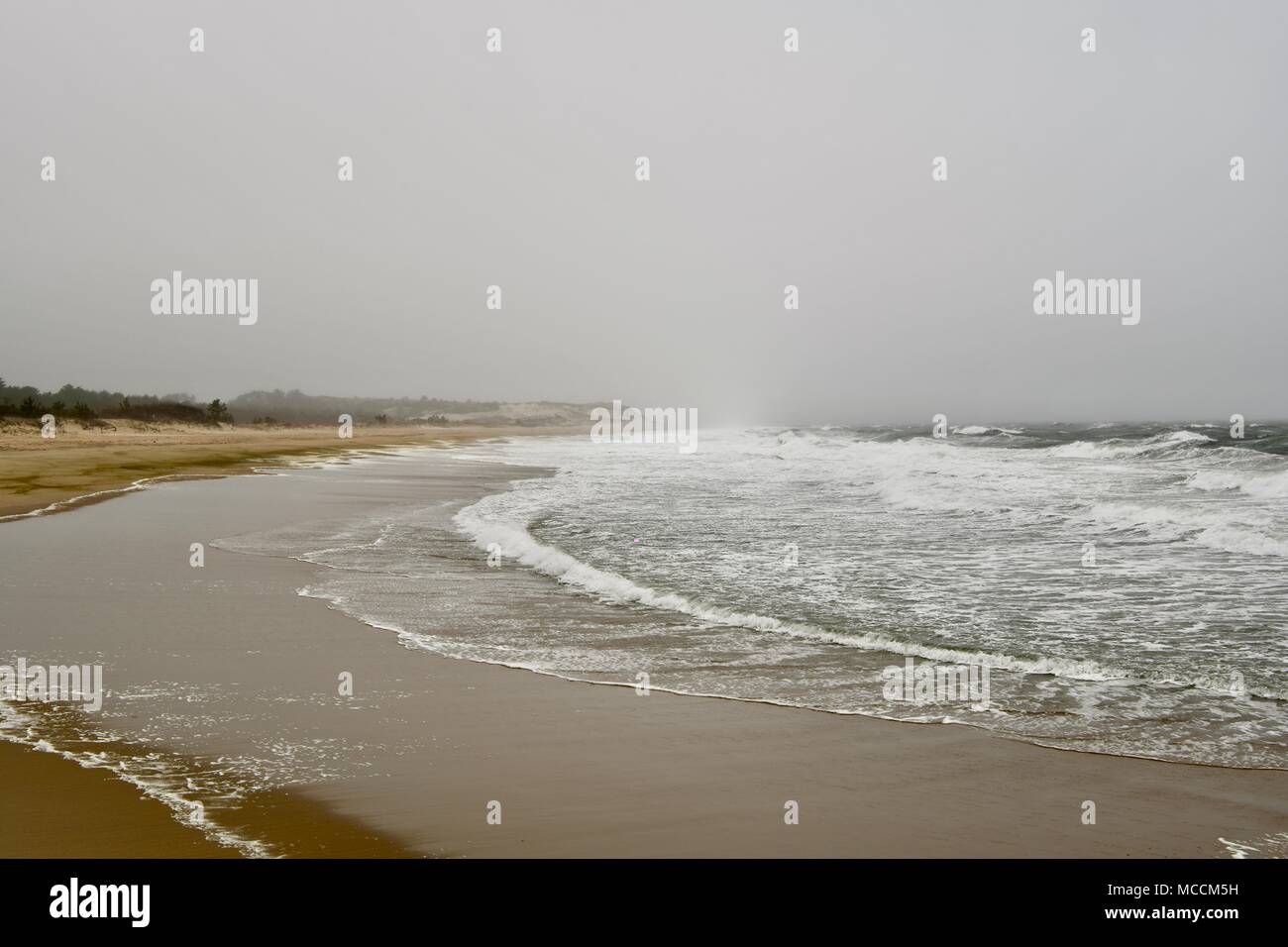 Cold foggy ocean landscape at Cape Henlopen State Park in Delaware, USA Stock Photo
