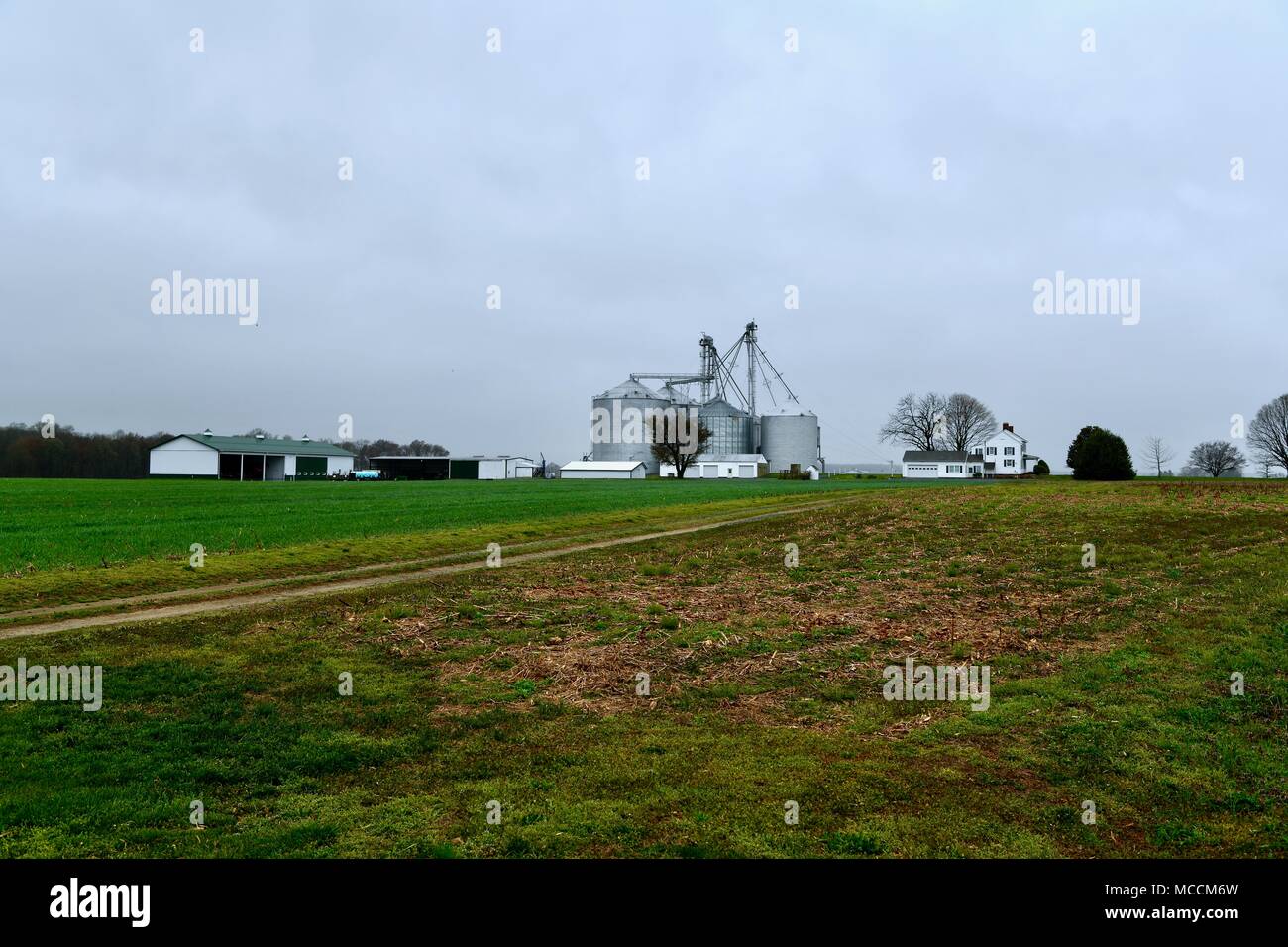 Large silos on a farm in Maryland, USA Stock Photo