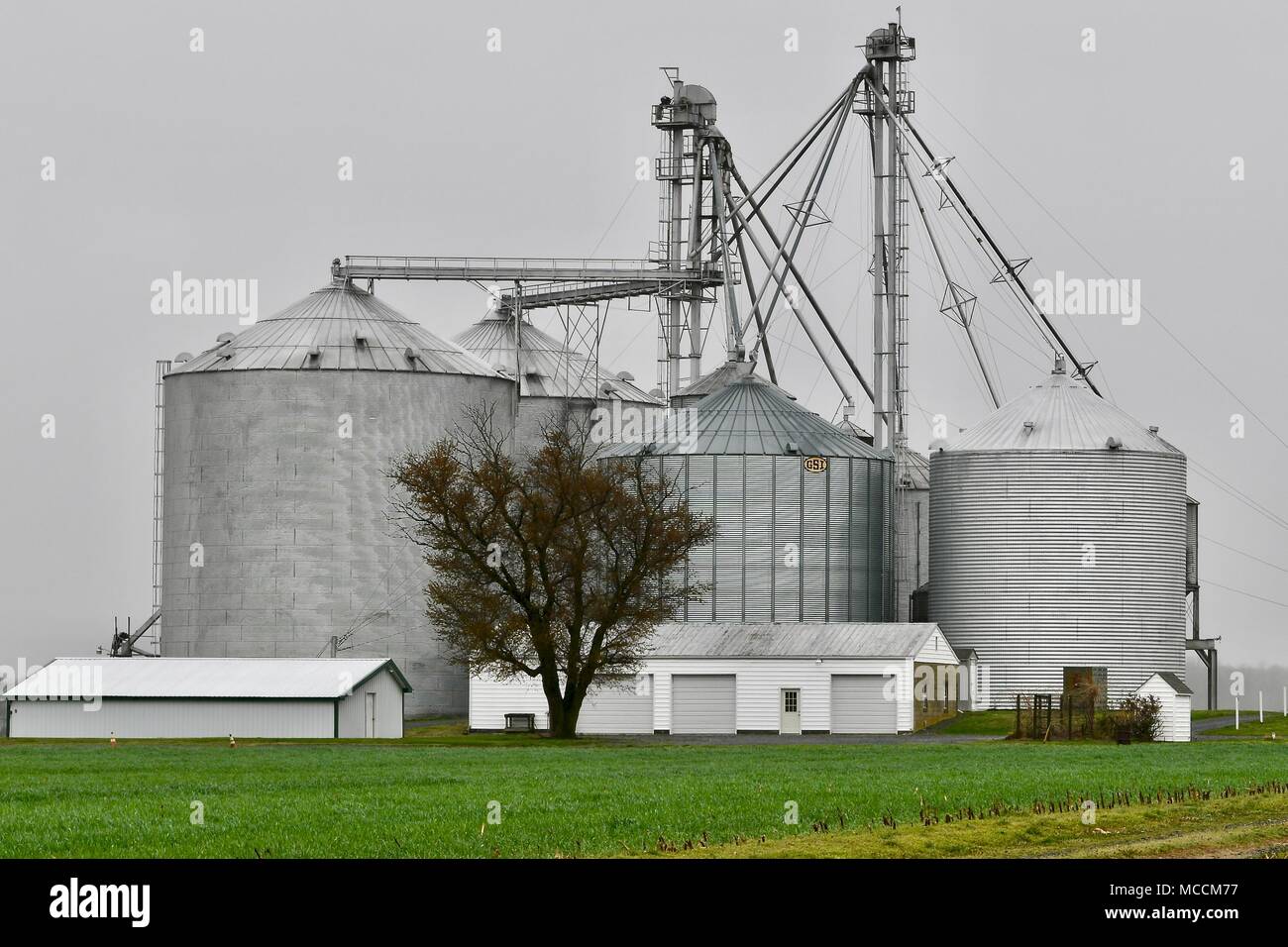 Large silos on a farm in Maryland, USA Stock Photo