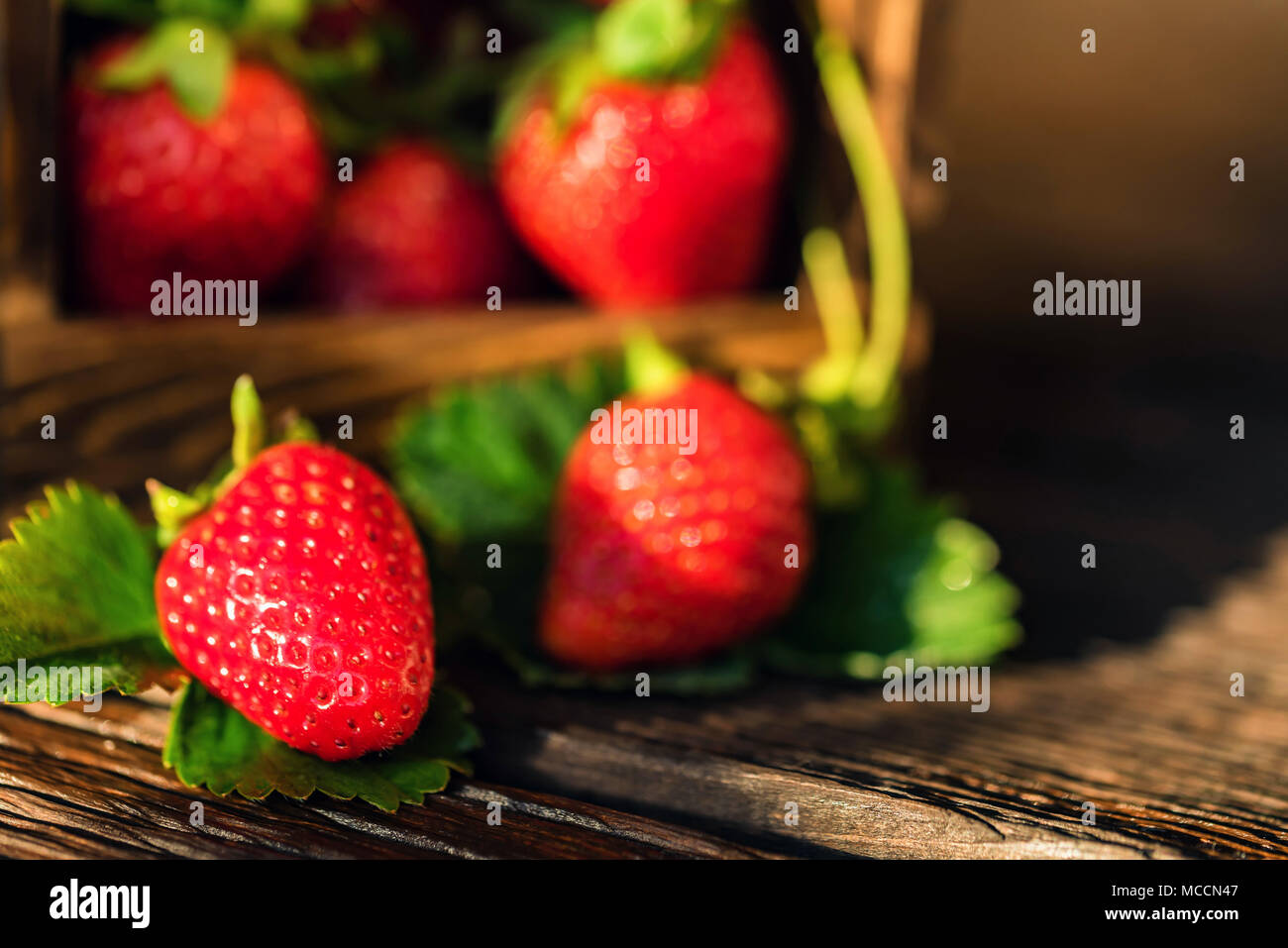 Fresh strawberries with leaves in wooden box close Stock Photo - Alamy
