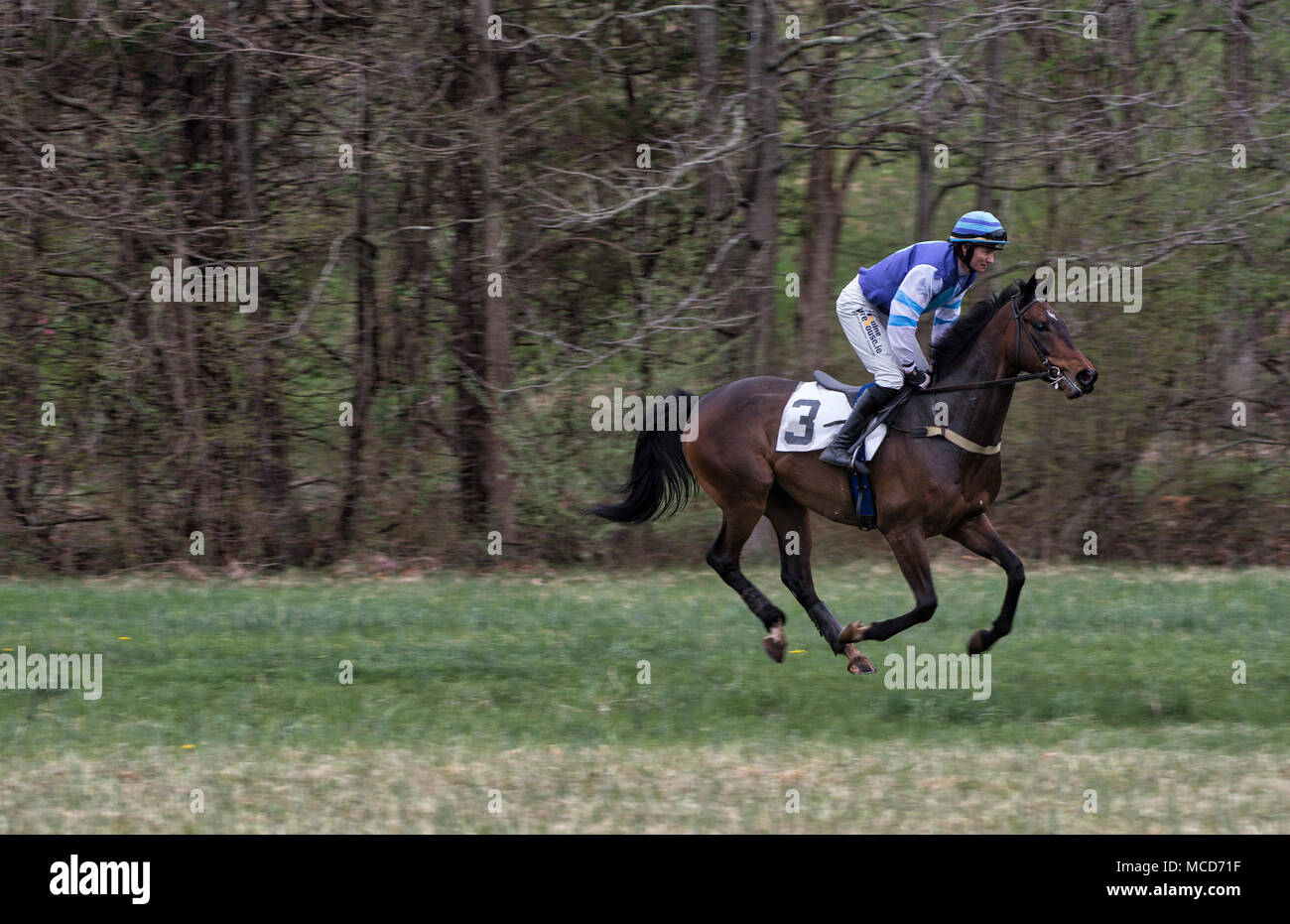 Leesburg, USA. 15th April 2018. UNITED STATES: April 15, 2018: Sean McDermott abroad Highly Prized from Great Britain during the Maiden Hurdle race for four-year-olds and up at the 52nd Annual Loudoun Hunt Point to Point races at Oatlands Plantation near Leesburg. (Photo by Douglas Graham/Loudoun Now) Stock Photo