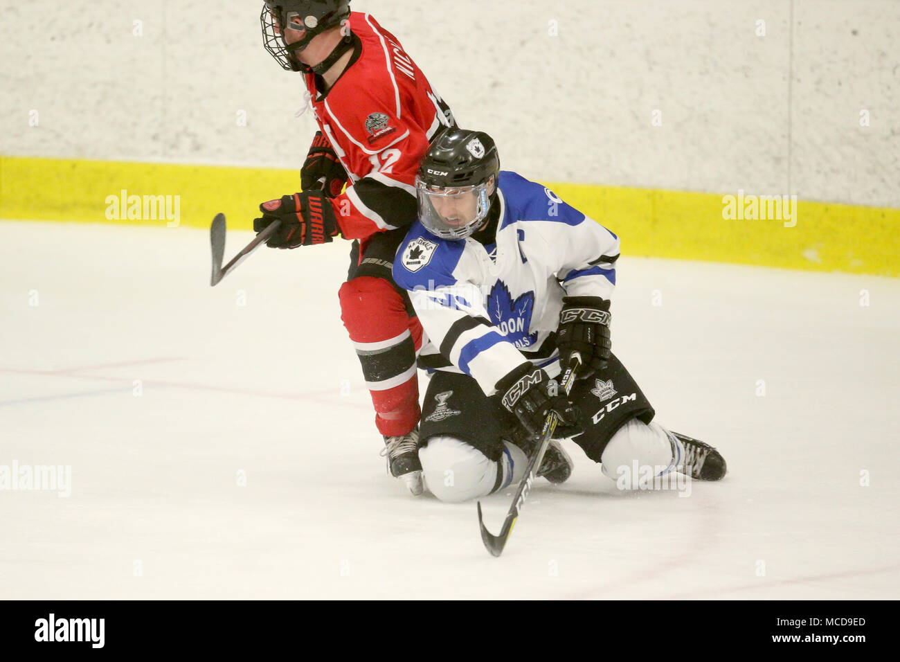 ice hockey game high resolution stock photography and images alamy