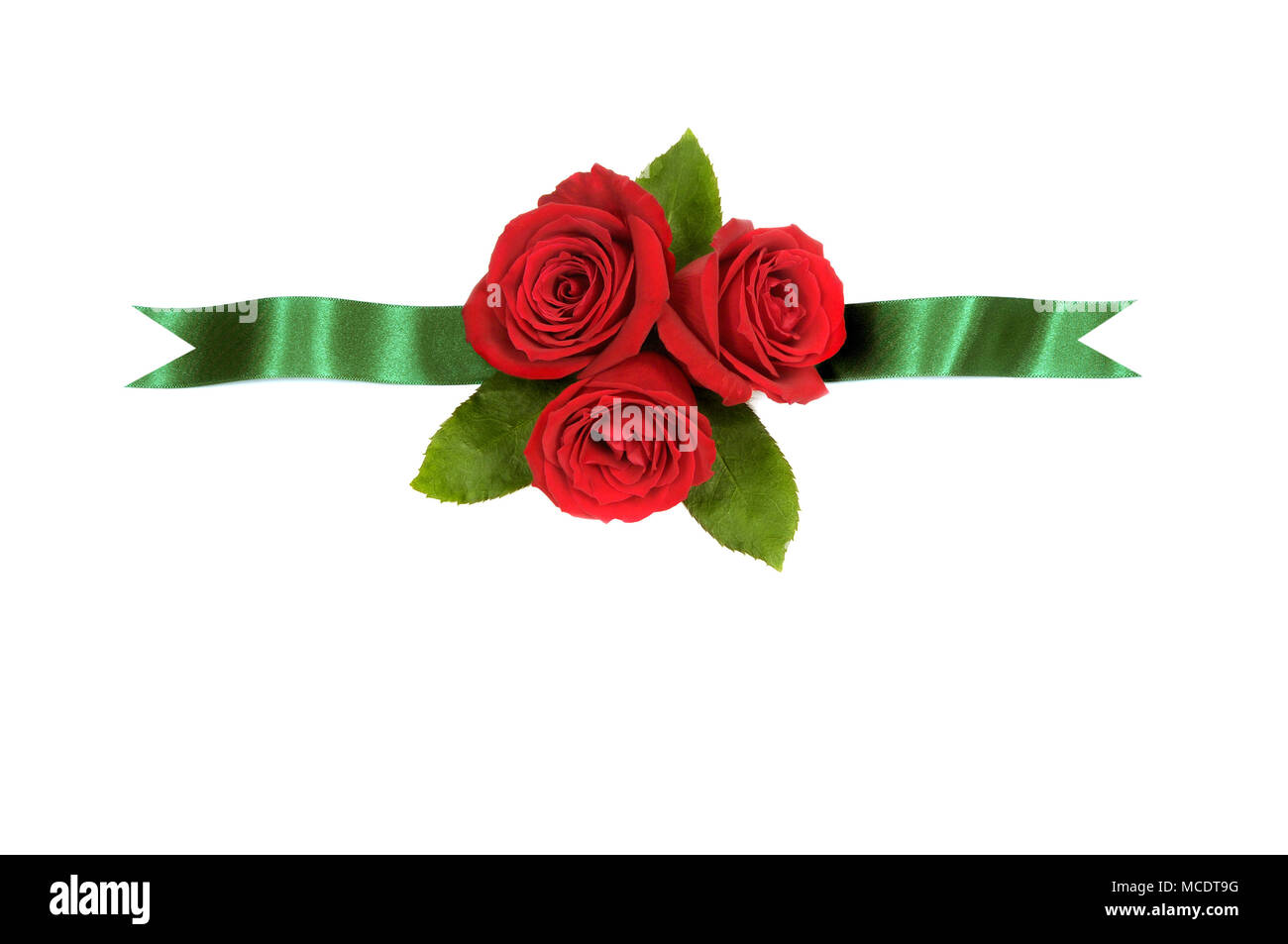 Horizontal border made from red roses and deep green satin ribbon (please note that I have not fully isolated these objects in order to preserve the d Stock Photo