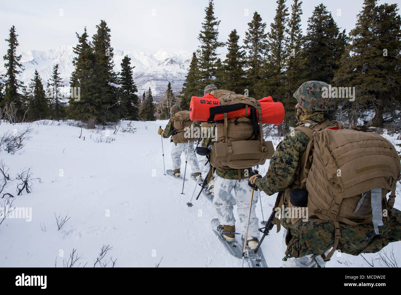 Northern Warfare Training Center High Resolution Stock Photography and ...