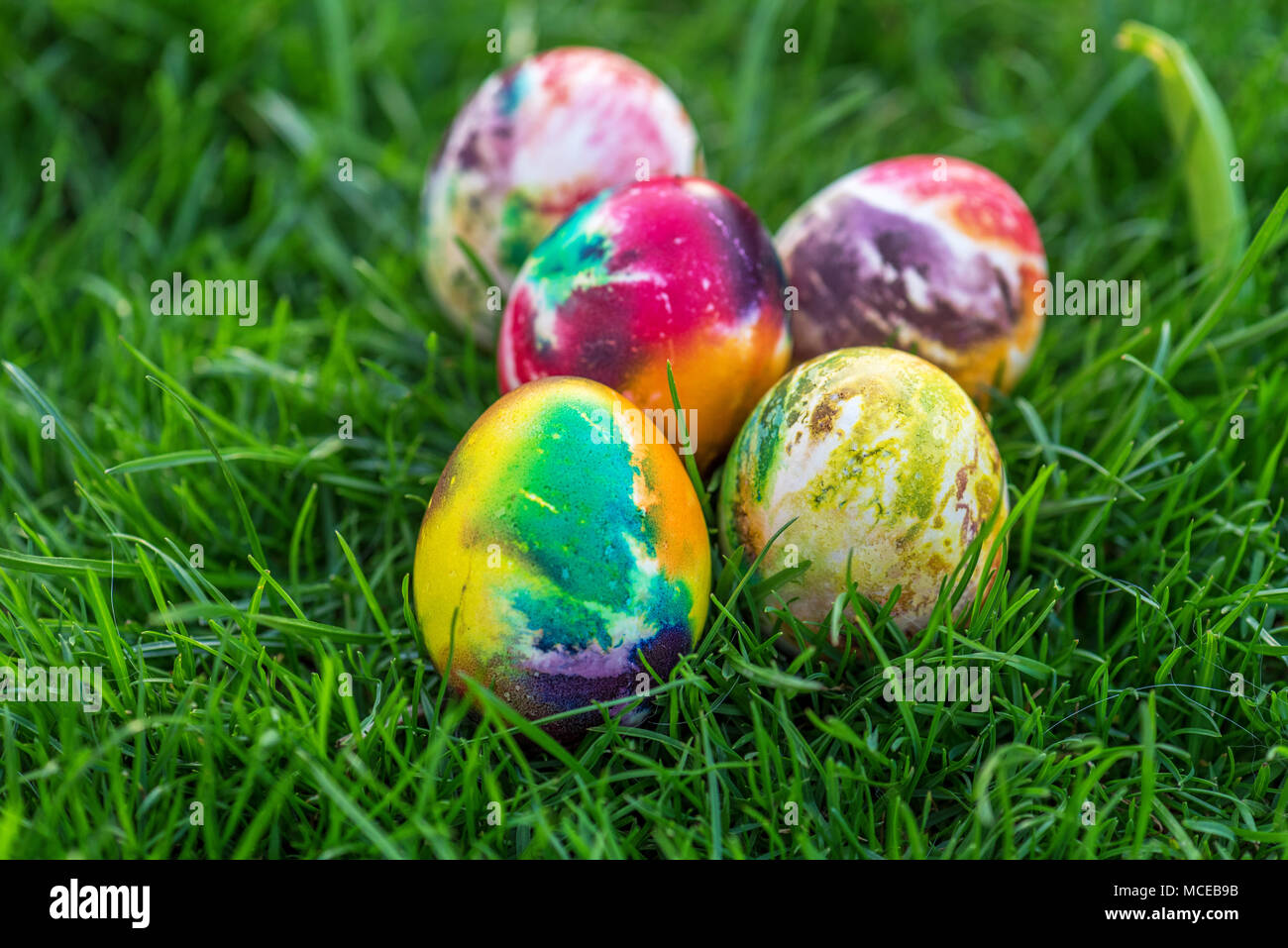 Traditionally painted Easter eggs hidden in grass. Stock Photo