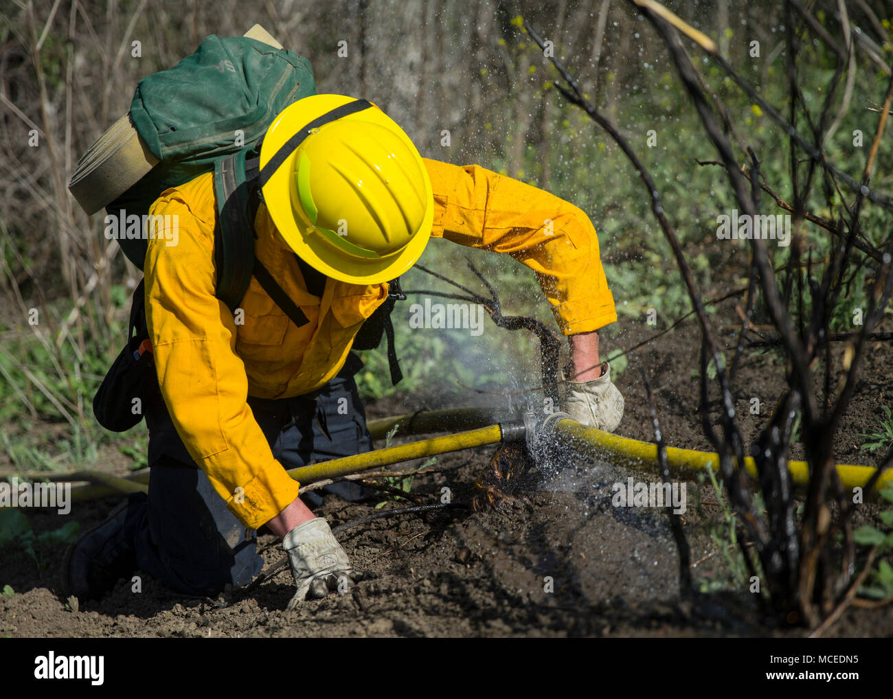 Mario Moreno, a firefighter and paramedic with Station 1, Camp Pendleton Fire Department, tightens a clamp on a water hose while conducting wildland fire refresher training drills (WRT) on April 13, 2018. The annual training, held in the spring, revolves around a simulated wildfire that the firefighters must work together to contain. After the drill, participants discussed which elements went well as well as areas for improvement to ensure readiness for the upcoming fire season. (U.S. Marine Corps photo by Cpl. Dylan Chagnon) Stock Photo