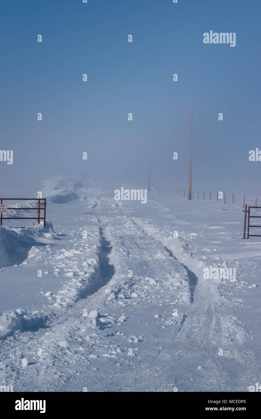 Tracks in deep snow. South of Drumheller, Alberta Stock Photo - Alamy