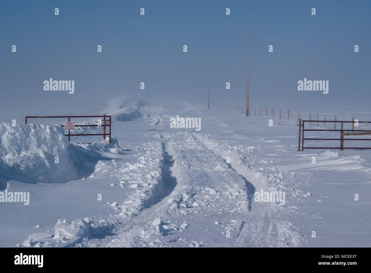 Tracks in deep snow. South of Drumheller, Alberta Stock Photo - Alamy