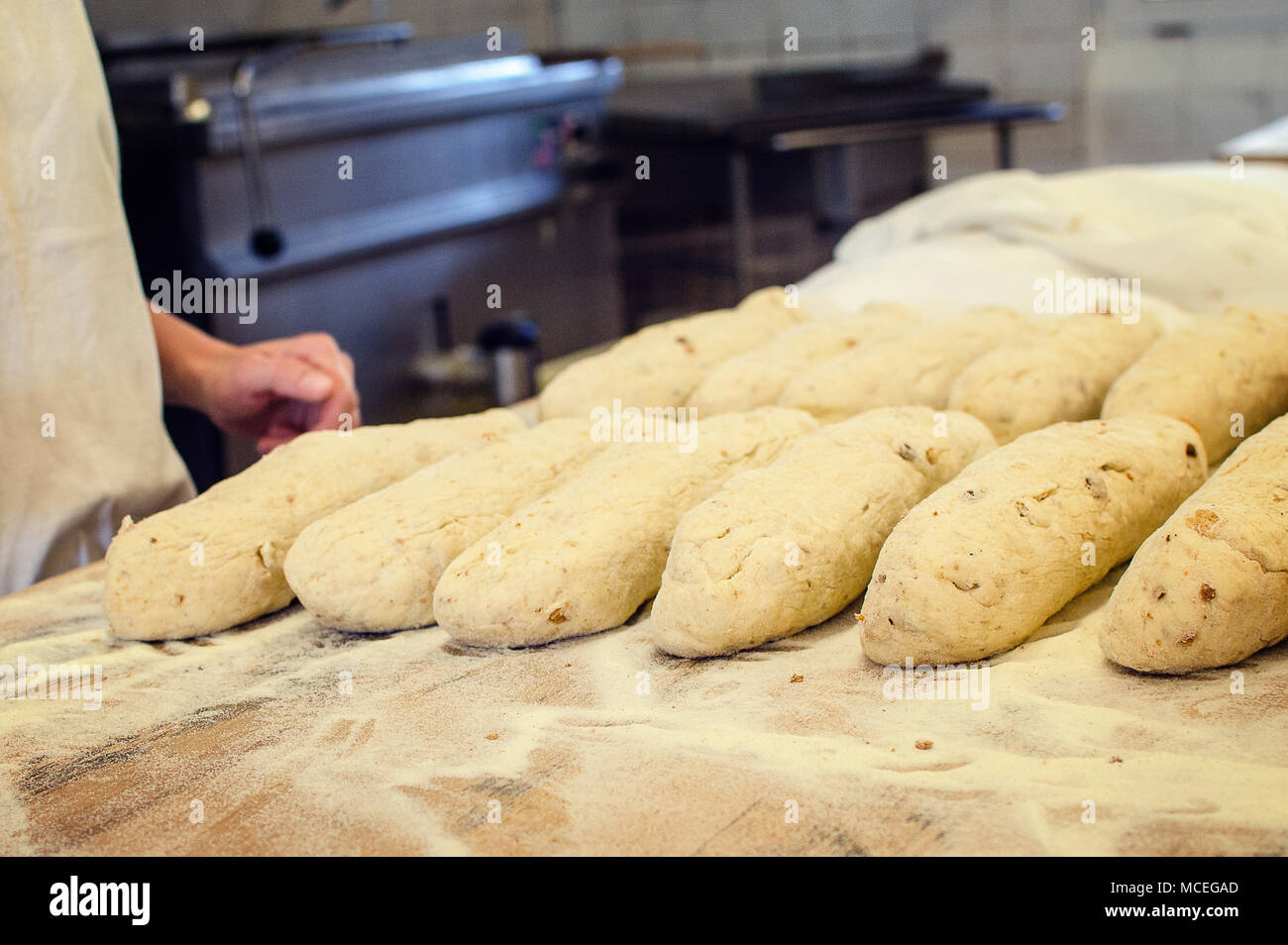Industrial cooking of popular classical dumplings. Stock Photo