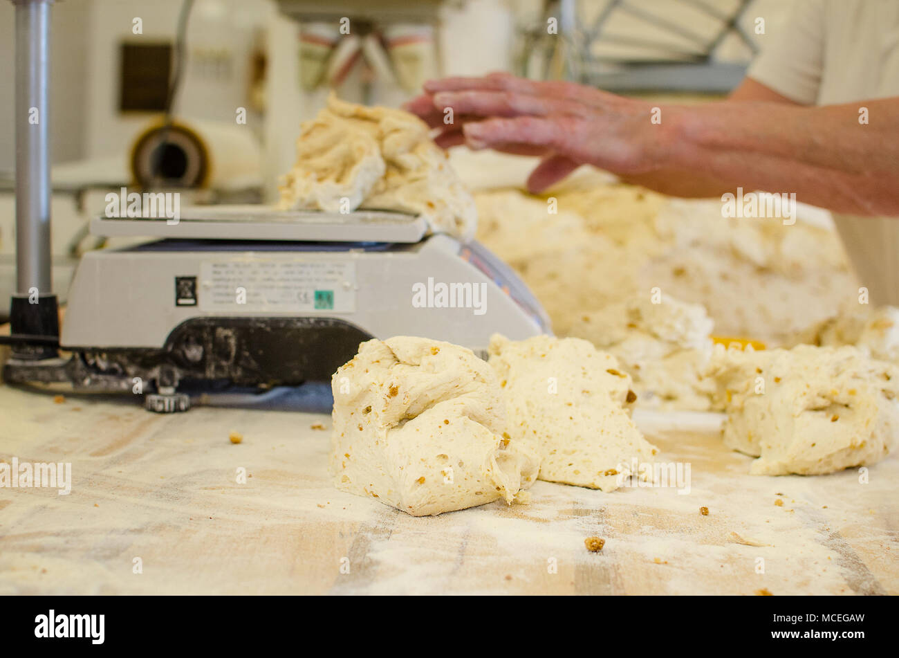 Industrial cooking of popular classical dumplings. Stock Photo