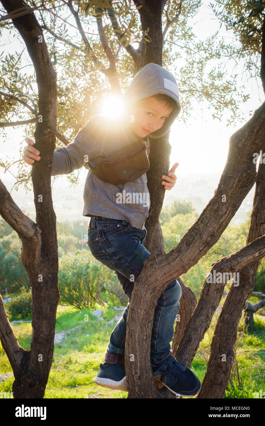 Little boy climbing on tree, Athens, Greece Stock Photo