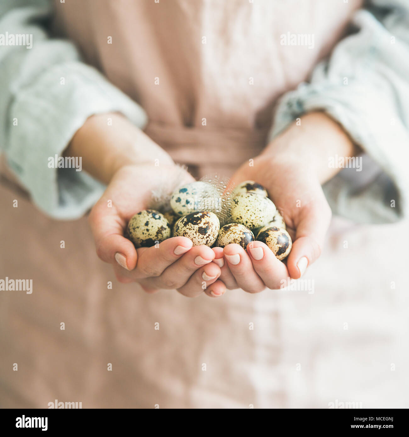 Quail eggs and feather in woman's hands for Easter Stock Photo