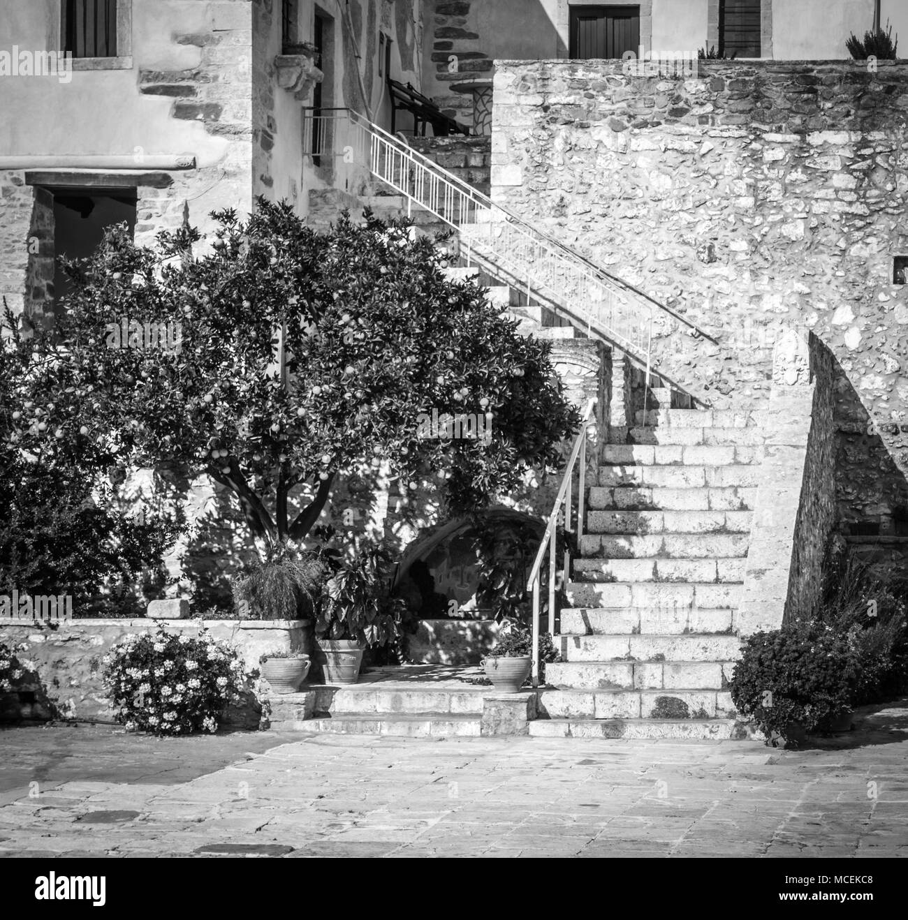 Sunlight vertical hi res stock photography and images alamy