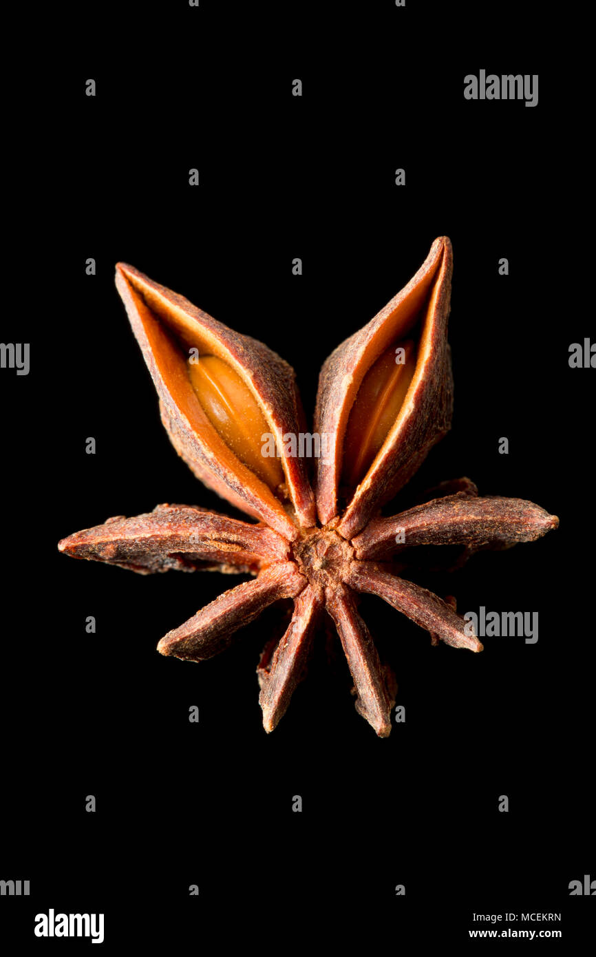 Star anise, Illicium verum, bought from a supermarket in the UK. Star anise is popular in asian cookery and is also used medicinally. England UK GB Stock Photo