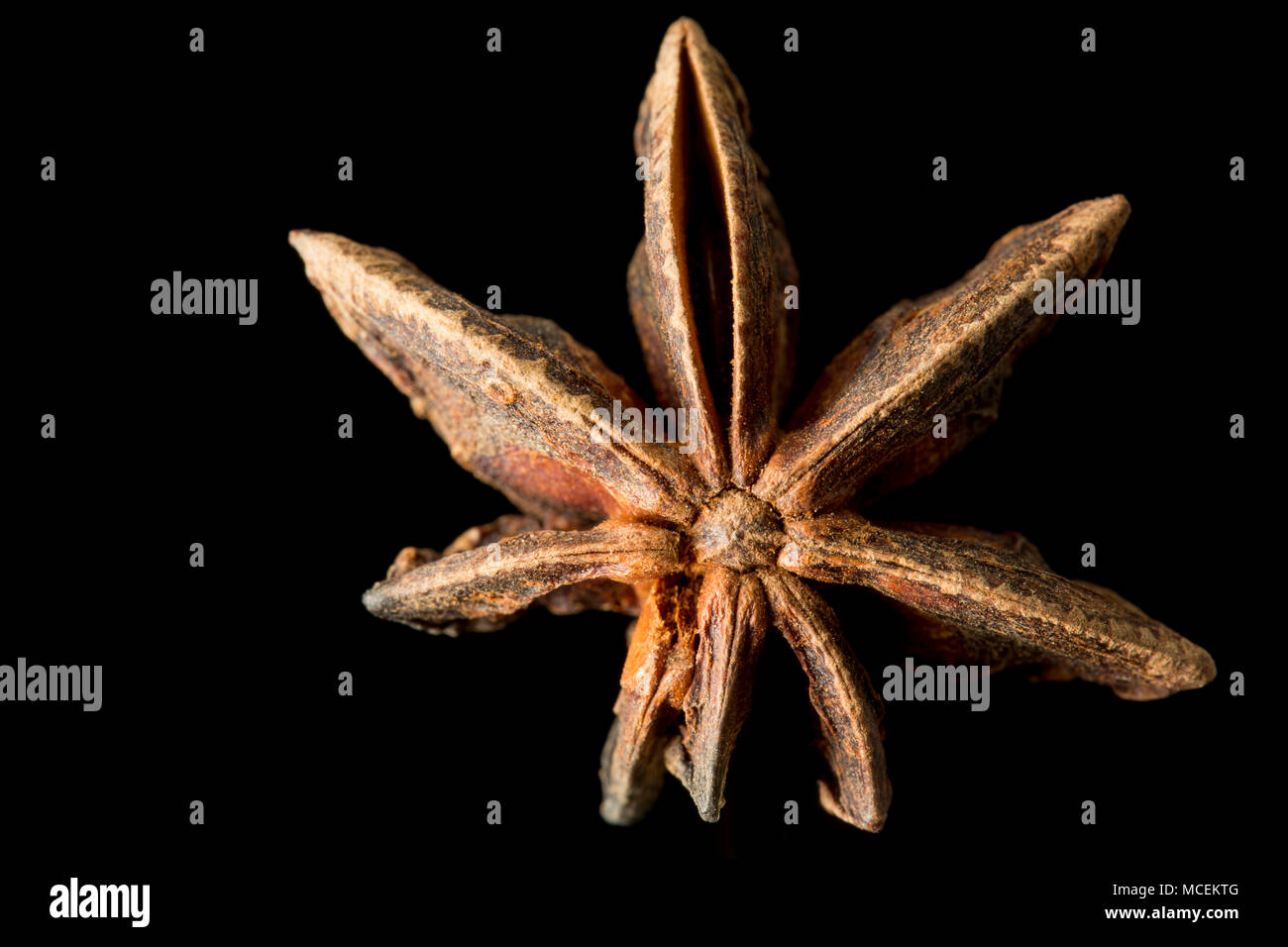Uneven symmetry in nature hires stock photography and images Alamy