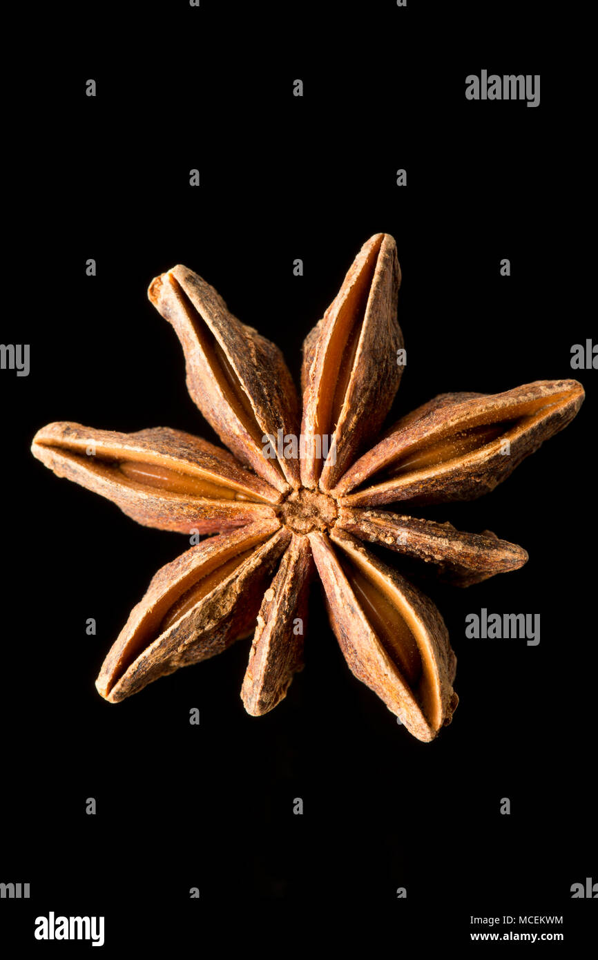 Star anise, Illicium verum, bought from a supermarket in the UK. Star anise is popular in asian cookery and is also used medicinally. England UK GB Stock Photo